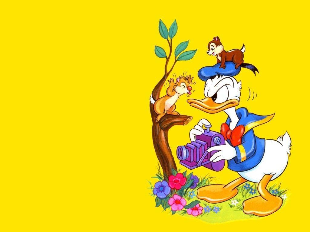 1024x768 Free download Donald Duck Wallpaper Cartoon Wallpaper [1024x768] for your Desktop, Mobile & Tablet. Explore Donald Duck Wallpaper. Donald Duck Wallpaper Free Download, Duck Wallpaper for Computer