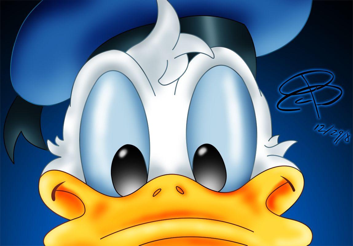 1149x800 Donald Duck Close Up Cartoon Wallpaper for Tablet
