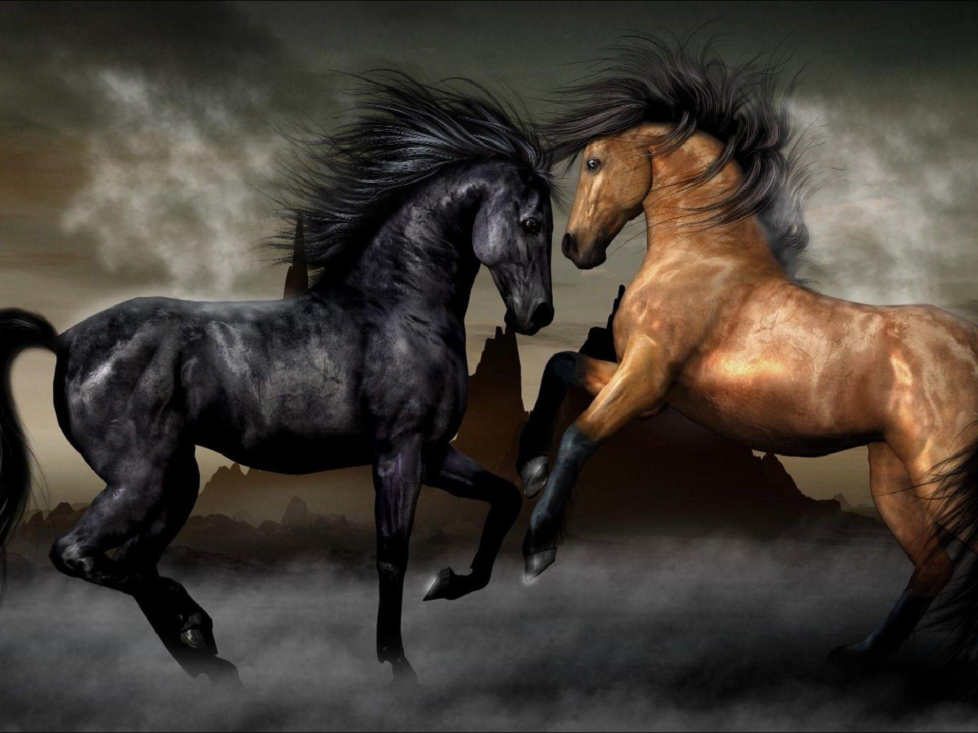 1920x1440 Two Horses Black And Brown Wallpaper HD :
