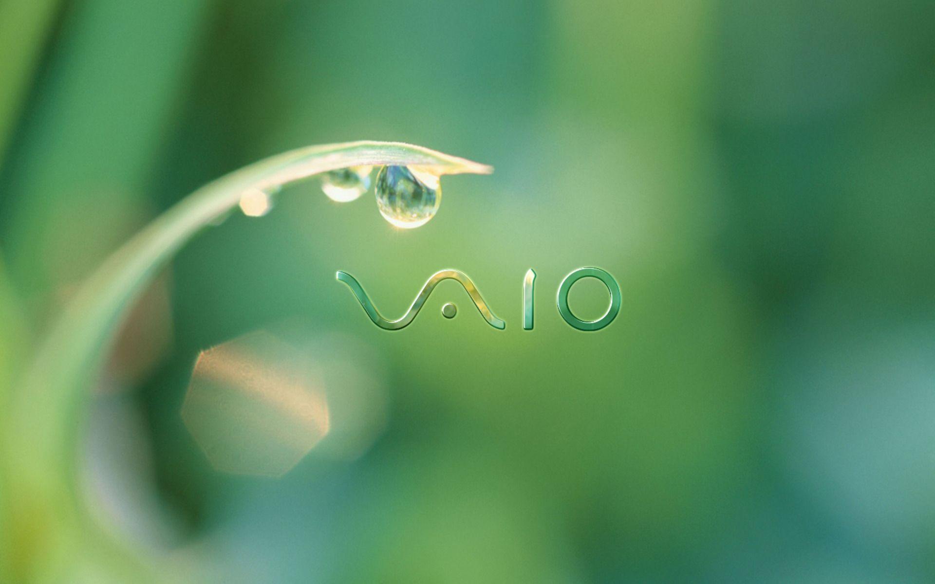 1920x1200 Sony VAIO HD Water Drop on Leaf < Computers < Entertainment