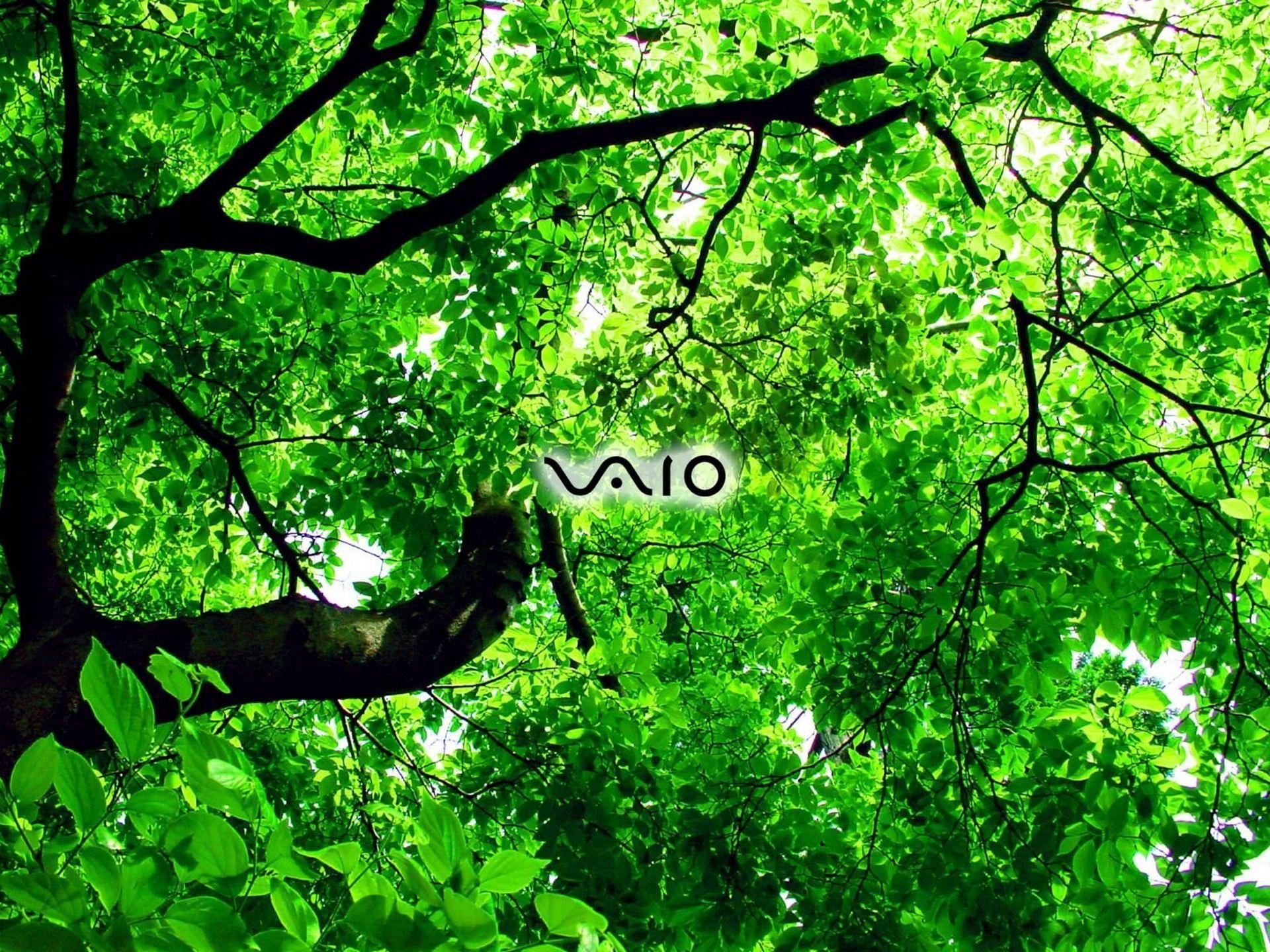 1920x1440 3D BACKGROUNDS