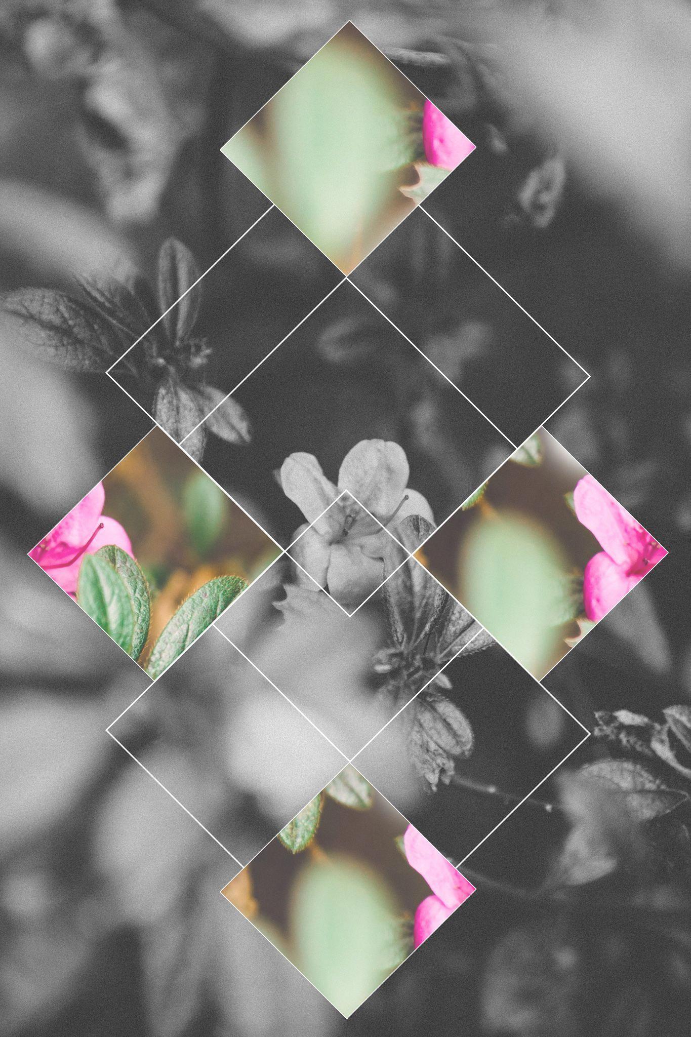 Geometric Floral Wallpapers - Top Free Geometric Floral Backgrounds