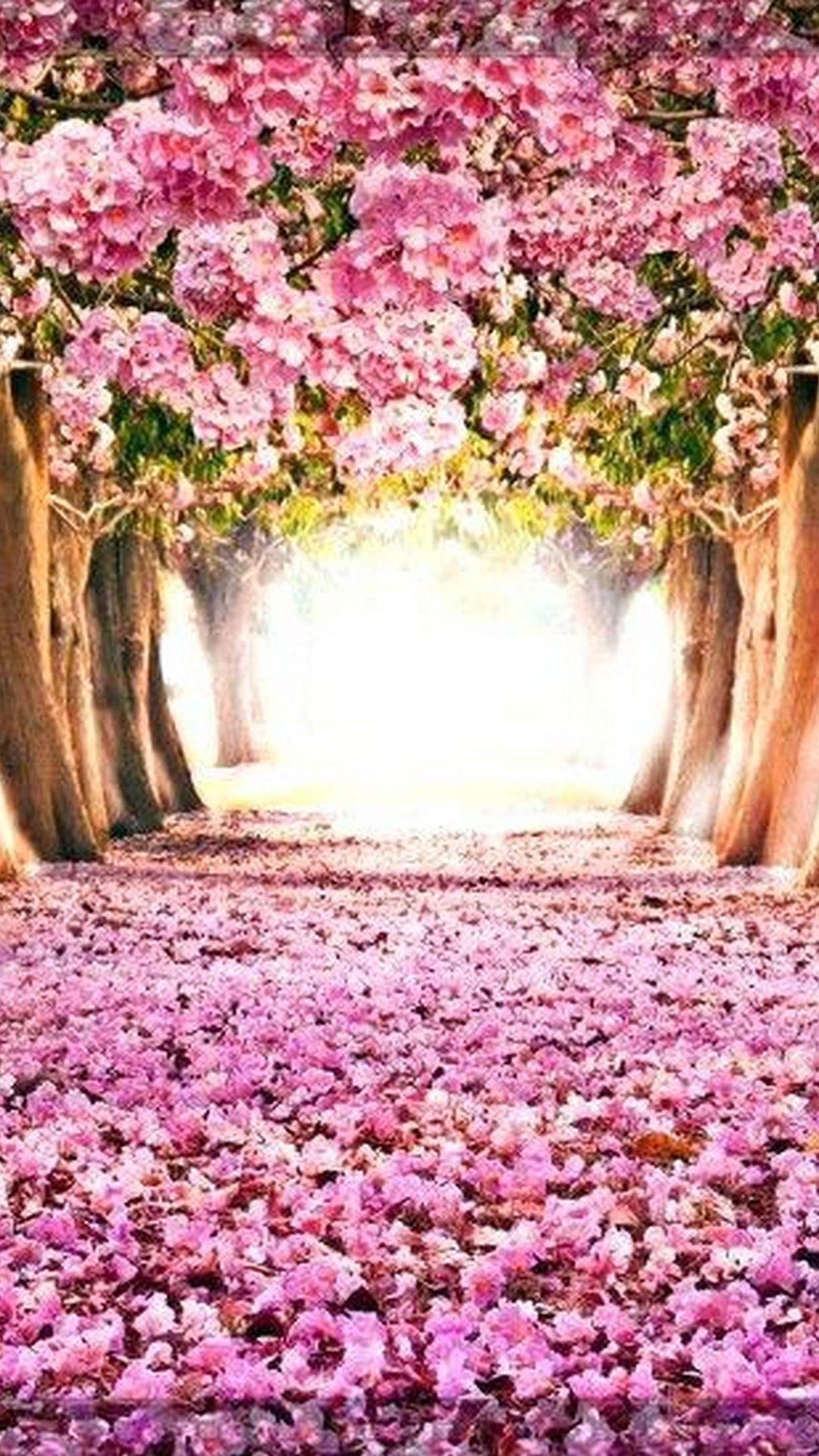 Spring Time Wallpapers - Top Free Spring Time Backgrounds - WallpaperAccess