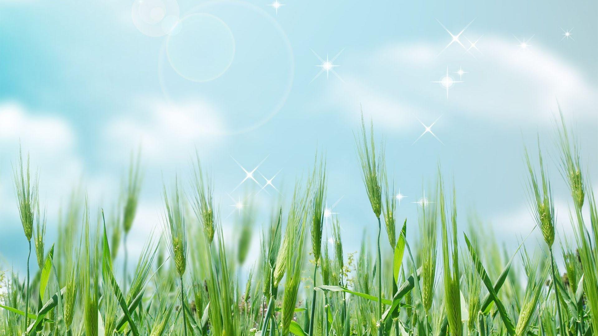 1920x1080 Wallpaper Cartoon Korean Cute Stick Picture Sweet Girl idolza