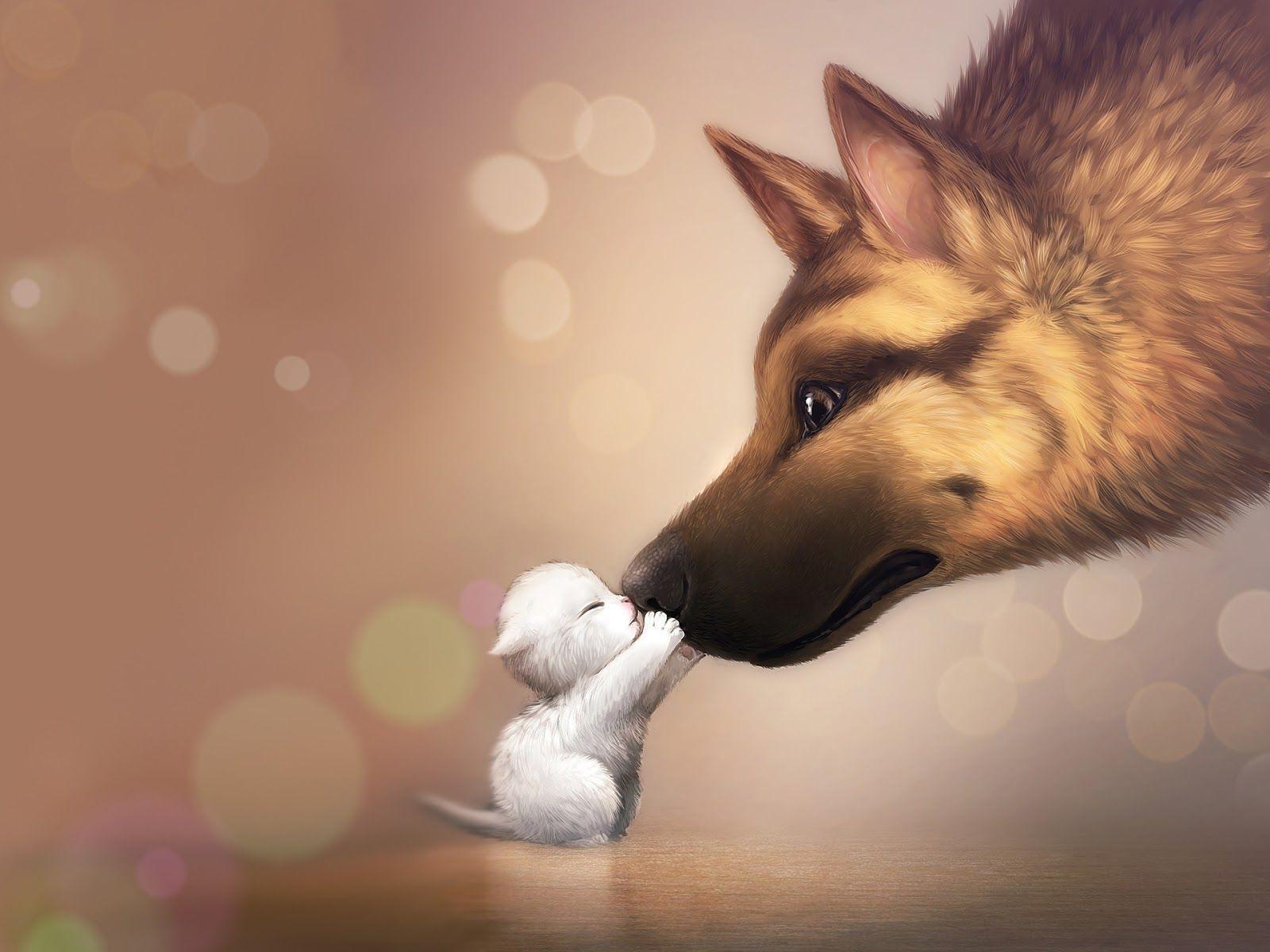 1600x1200 Cute Animals Wallpaper