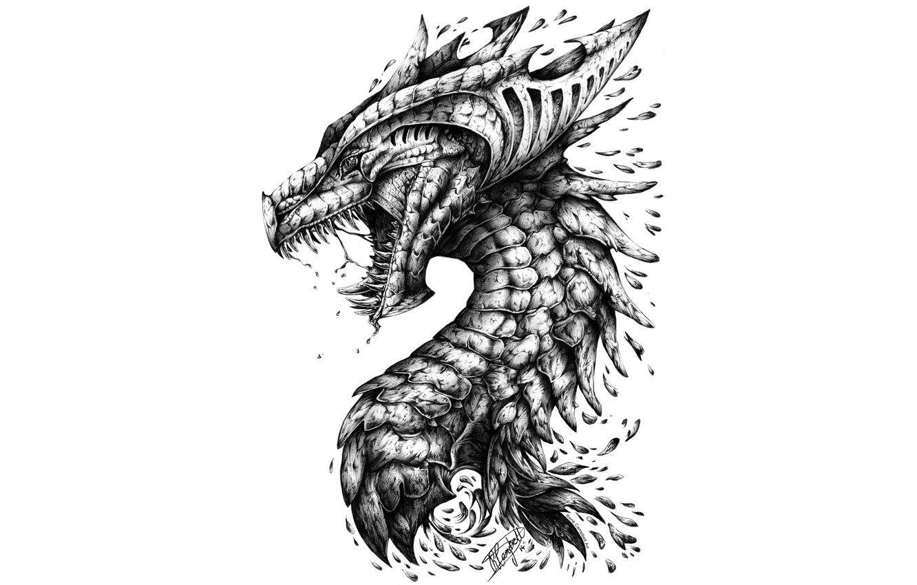 1332x850 Wallpaper dragon, head, teeth, scales image for desktop, section минимализм