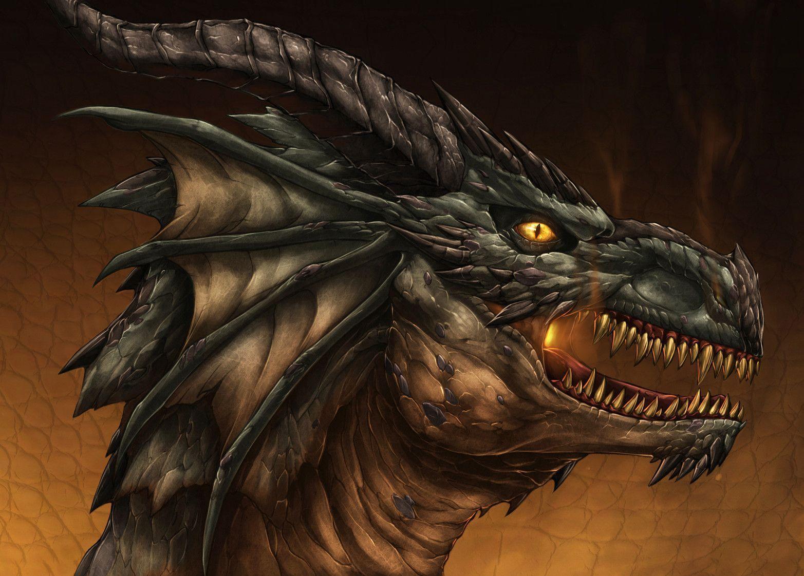 1565x1122 Free download Dragon Head Wallpaper [1565x1122] for your Desktop, Mobile & Tablet. Explore Dragon Head Wallpaper. HD Dragon Wallpaper, Dragon Wallpaper Free Download, 3D Dragon Wallpaper Free