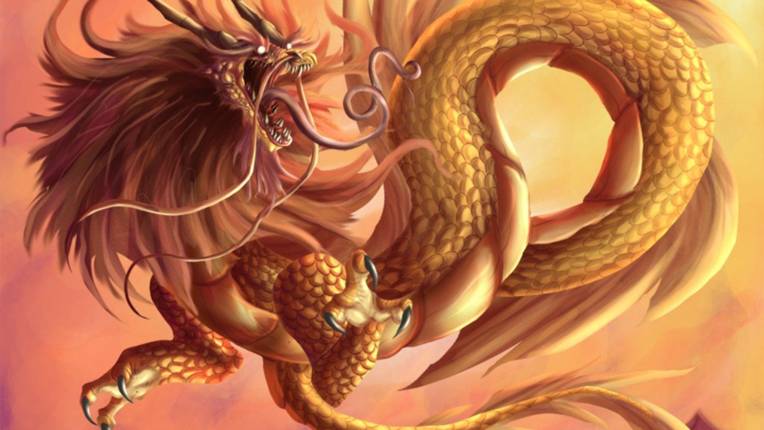 2560x1440 Dragon Head Wallpaper