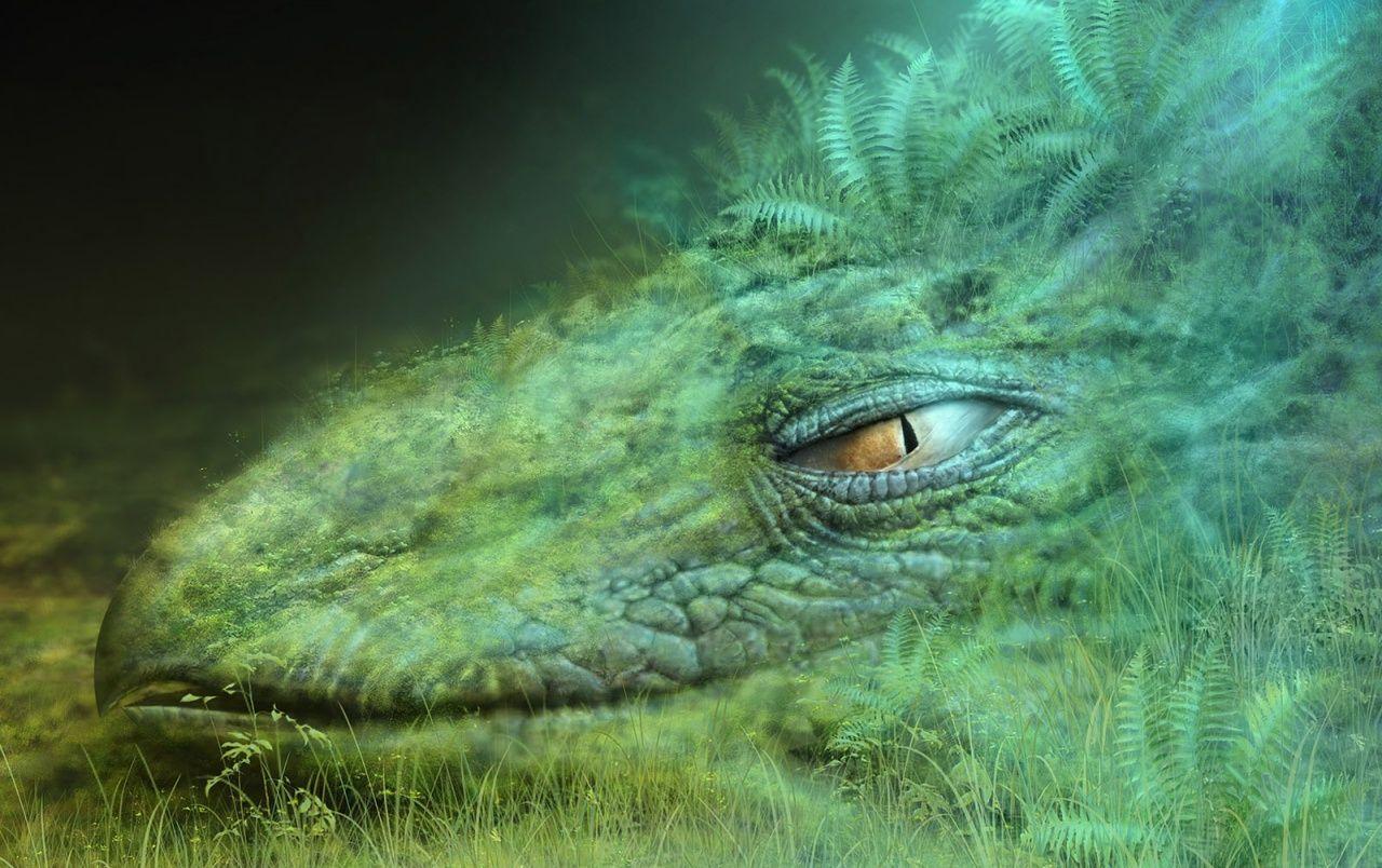 1280x804 Dragon head wallpaper. Dragon head