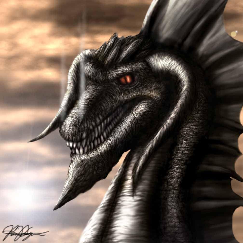 1008x1008 Download wallpaper: head dragon, photo wallpaper, picture on desktop