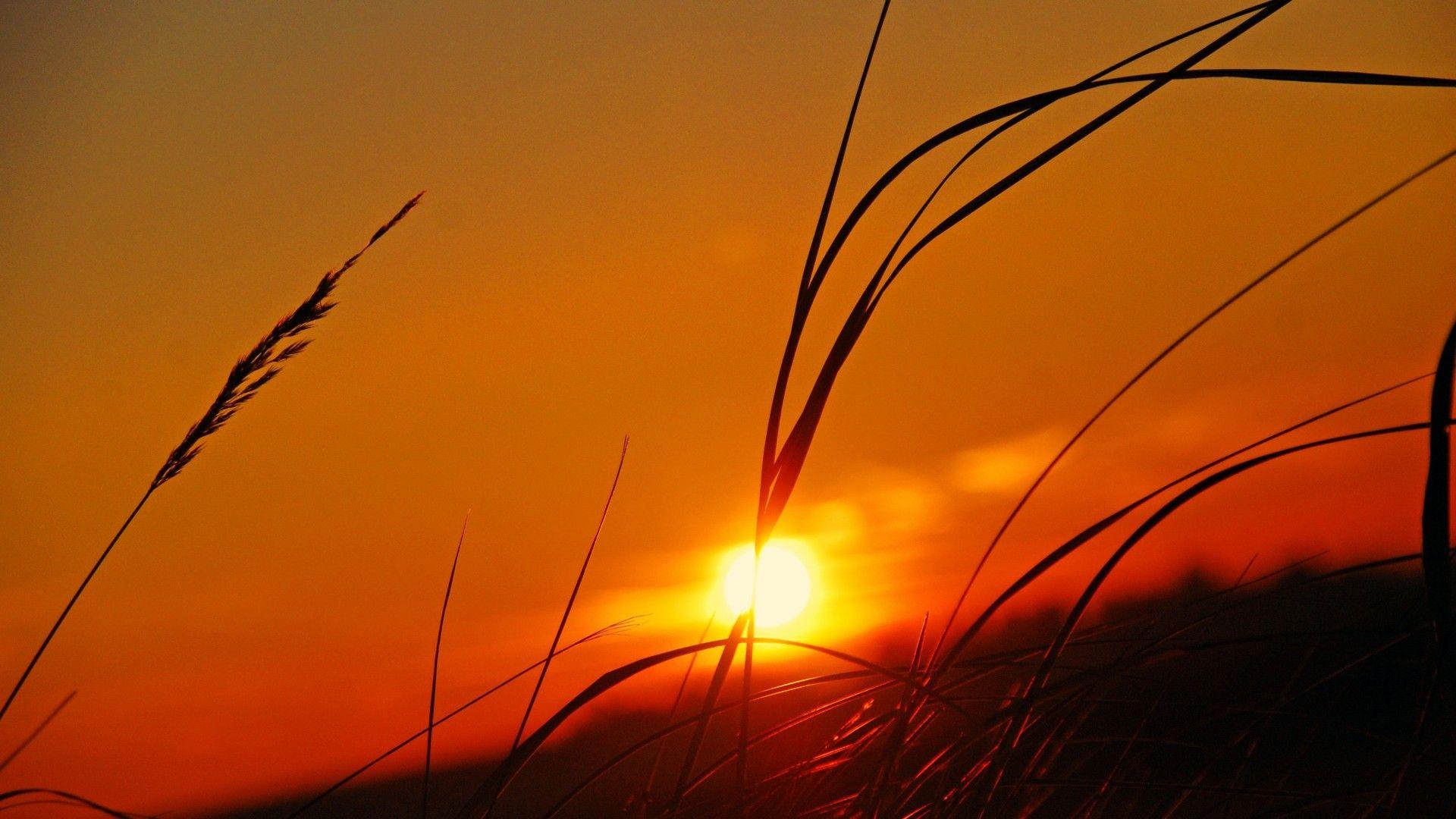 1920x1080 Sunset Wallpaper HD