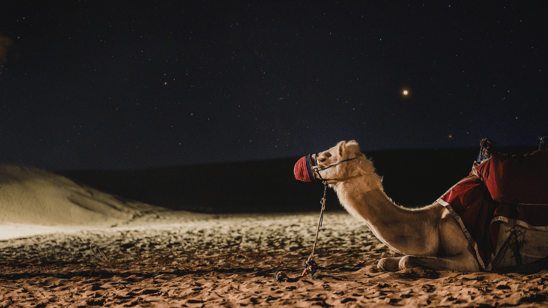 1920x1080 Camel Dubai Darkness Milkyway [1920X1080]