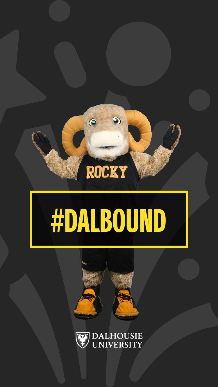 750x1334 DalBound Digital Swag