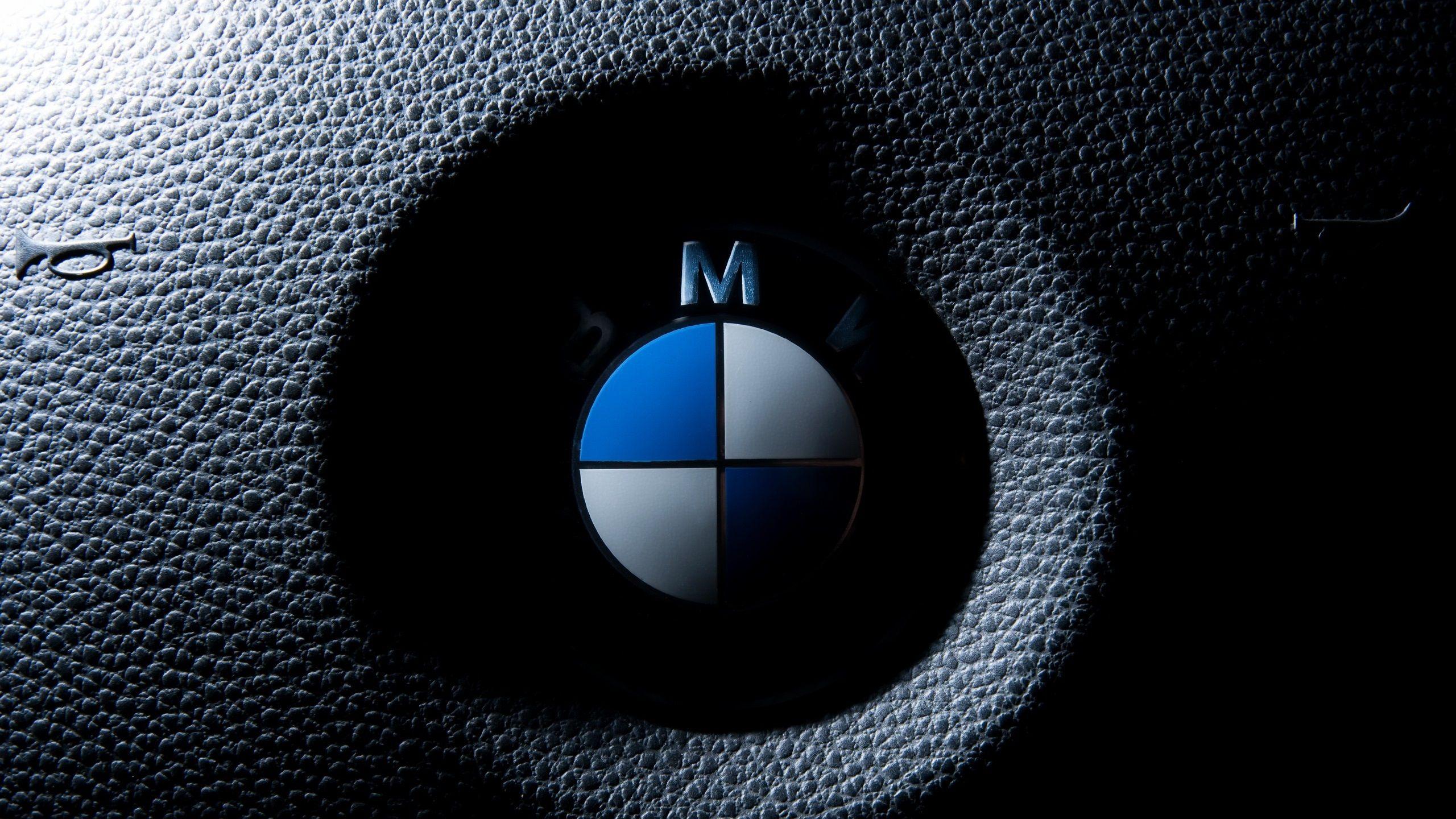 2560x1440 Wallpaper BMW logo macro photography 2560x1440 QHD Picture, Image