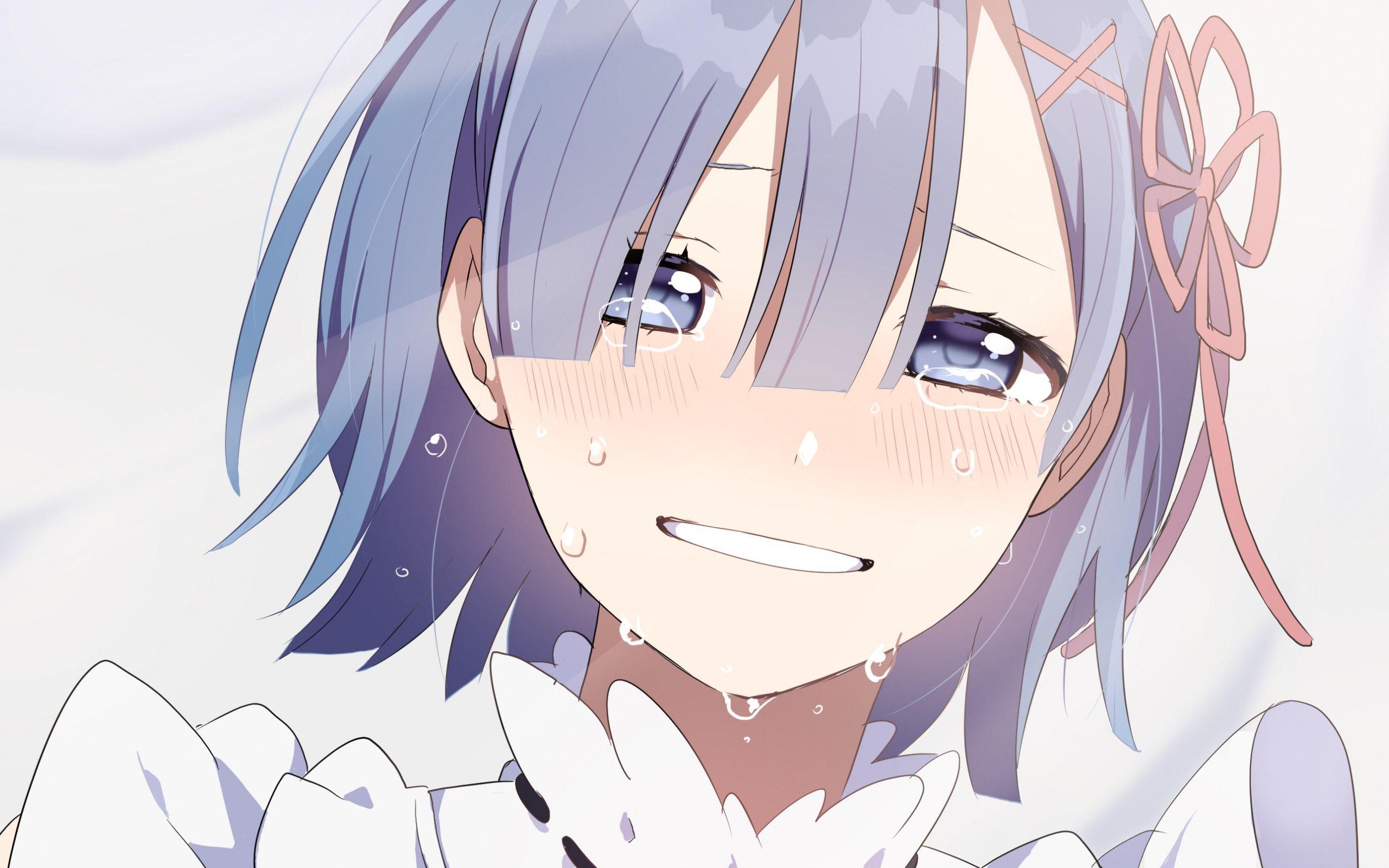 2560x1600 Download wallpaper Re Zero Kara Hajimeru Isekai Seikatsu, Rem