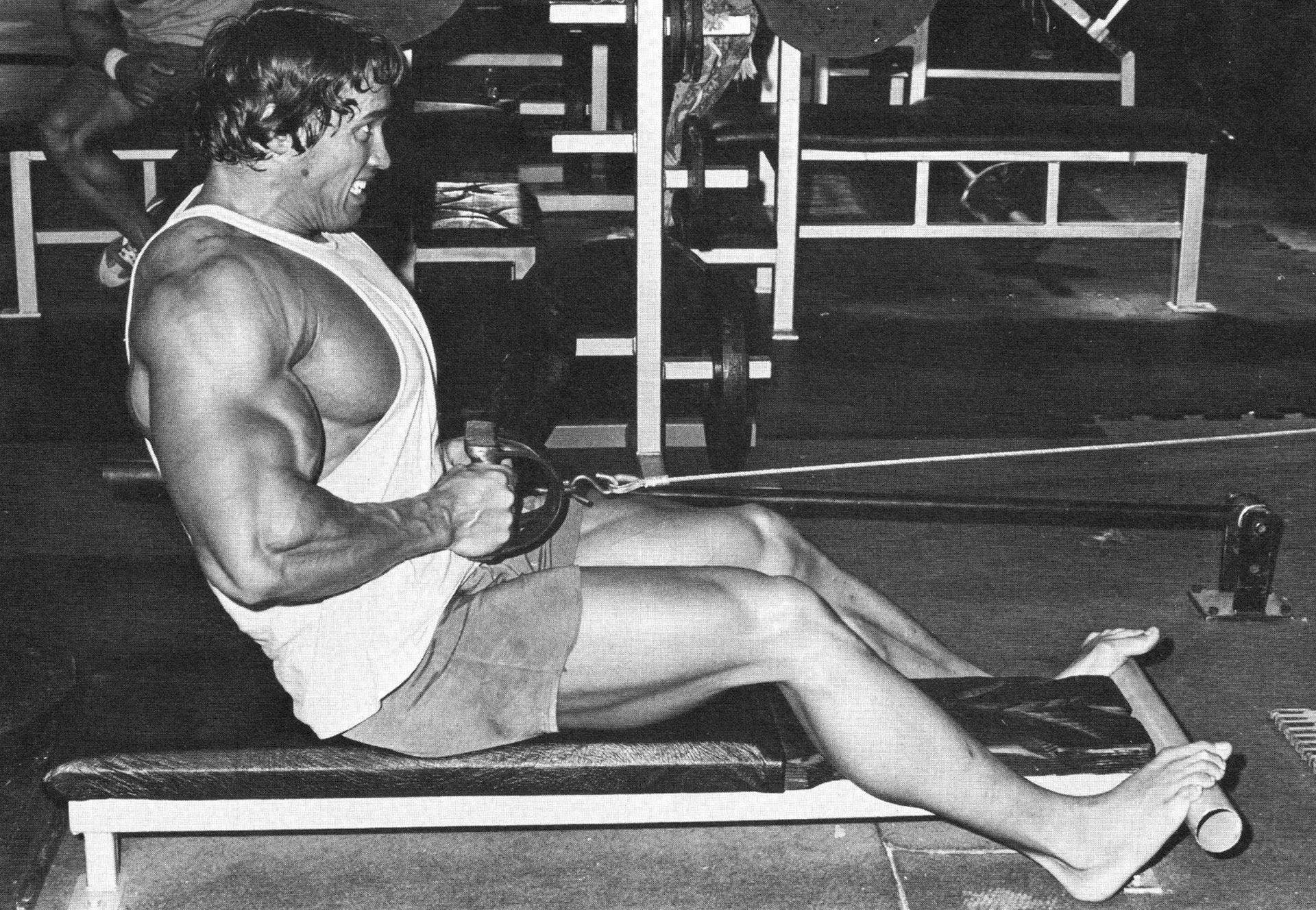 1920x1328 Arnold Doing Seated Rows In 1920 X 1328 X Post From R Wallpaper