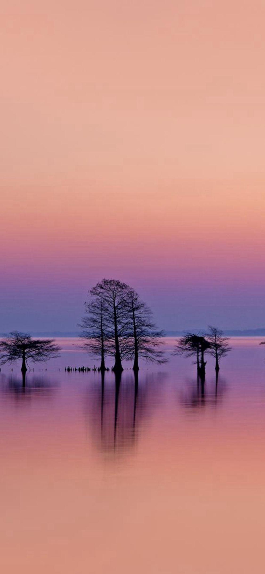 1125x2436 Minimal Lake Lonely Trees Reflection Scene iPhone X Wallpaper
