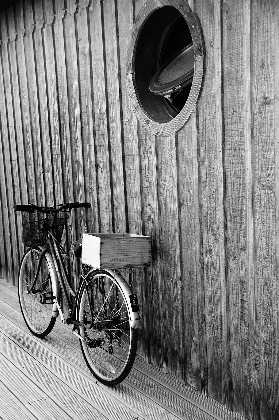 910x1369 black, white, bike, cape, ferret, phone wallpaper, transportation