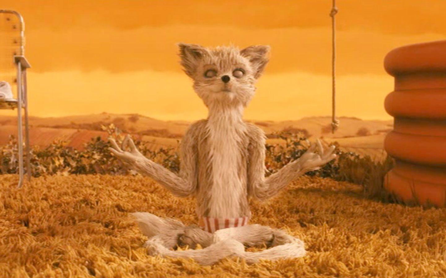 1440x900 Free download Mr Fantastic Fox Yoga [1440x900] for your Desktop