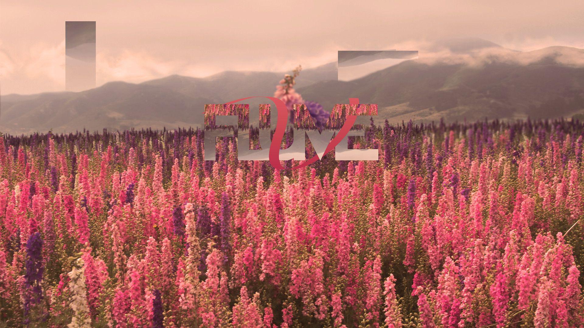 1920x1080 Flume Wallpaper