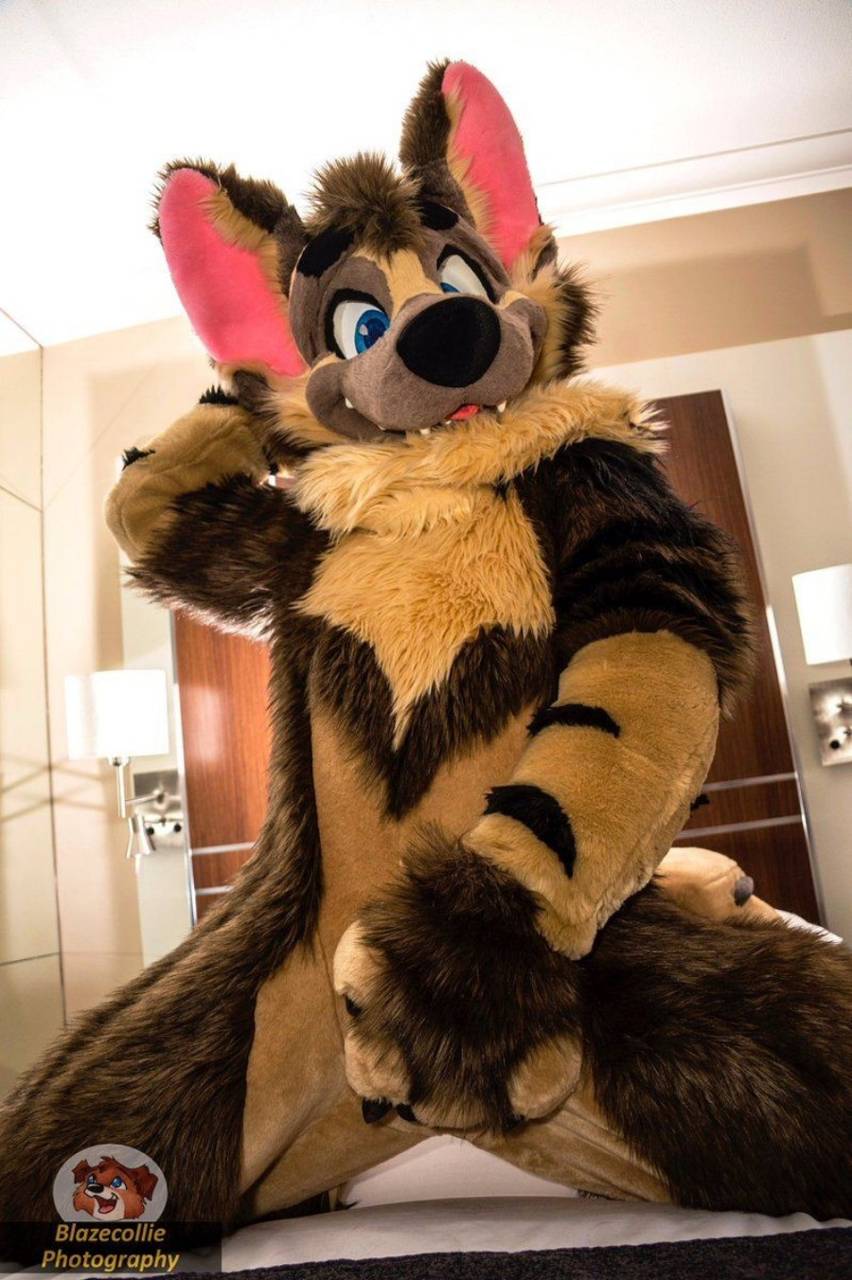 852x1280 fursuit 15 wallpaper