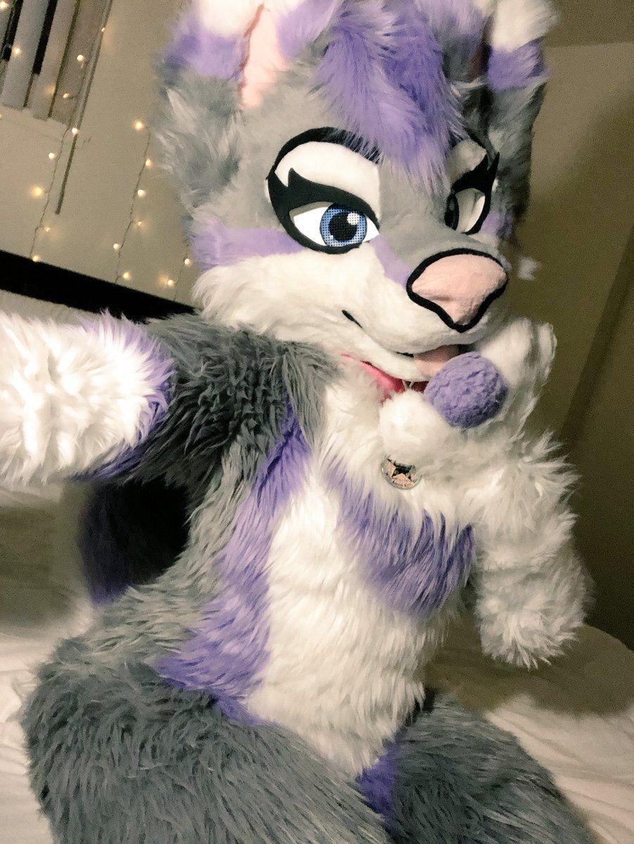 901x1200 Download Fursuit Wallpaper, HD Background Download