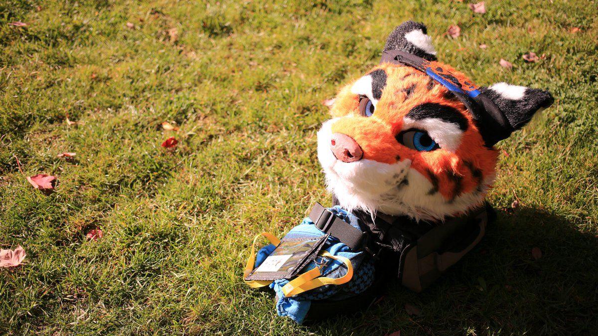 1200x674 Ticer profile picture for my twitter account