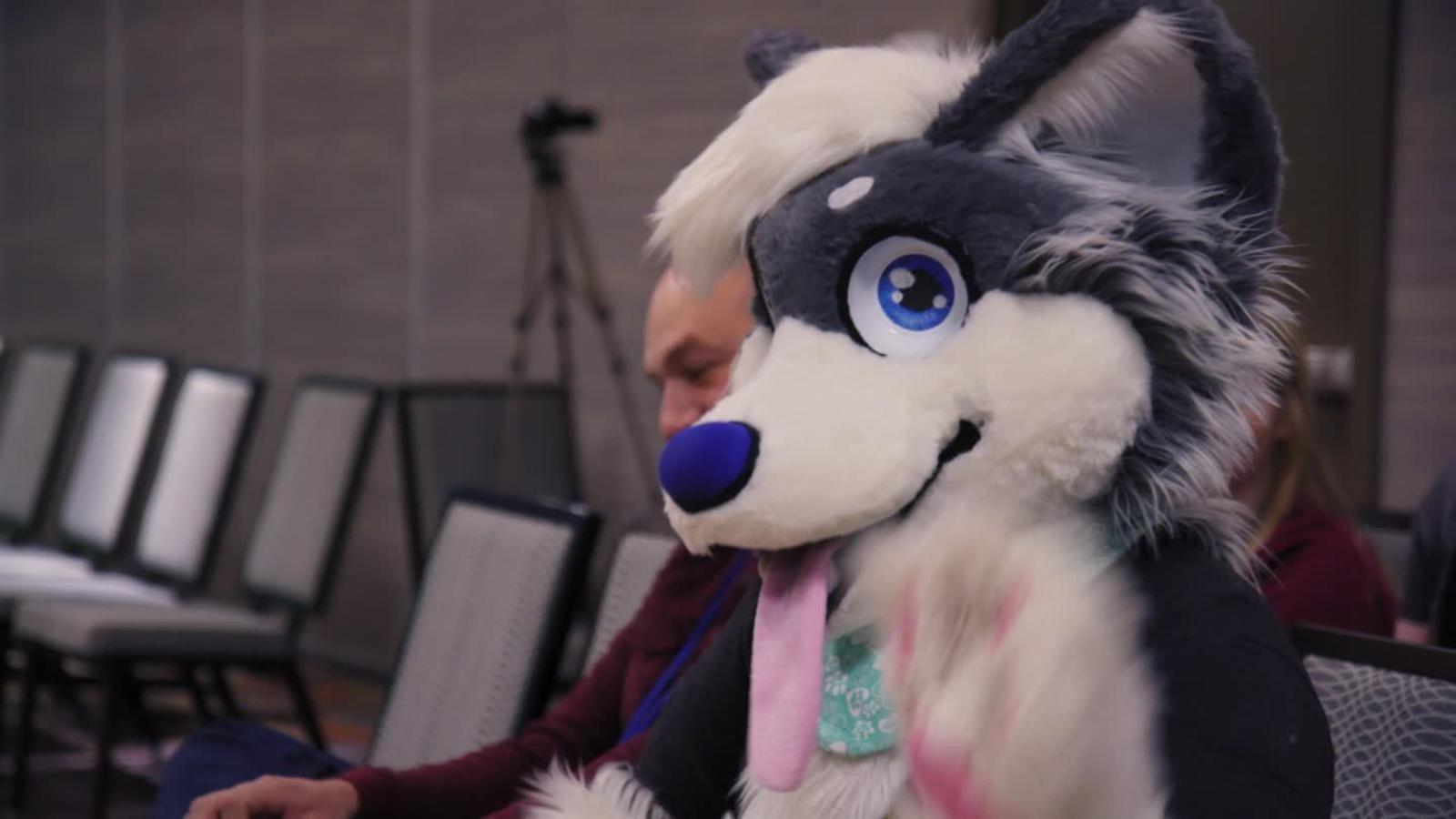 1600x900 Furries: Inside a misunderstood culture