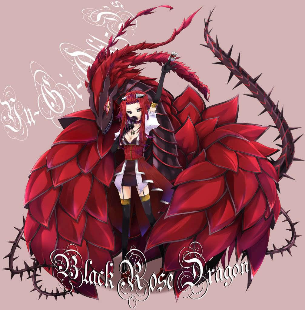 1007x1024 Red Rose Dragon Yu Gi Oh