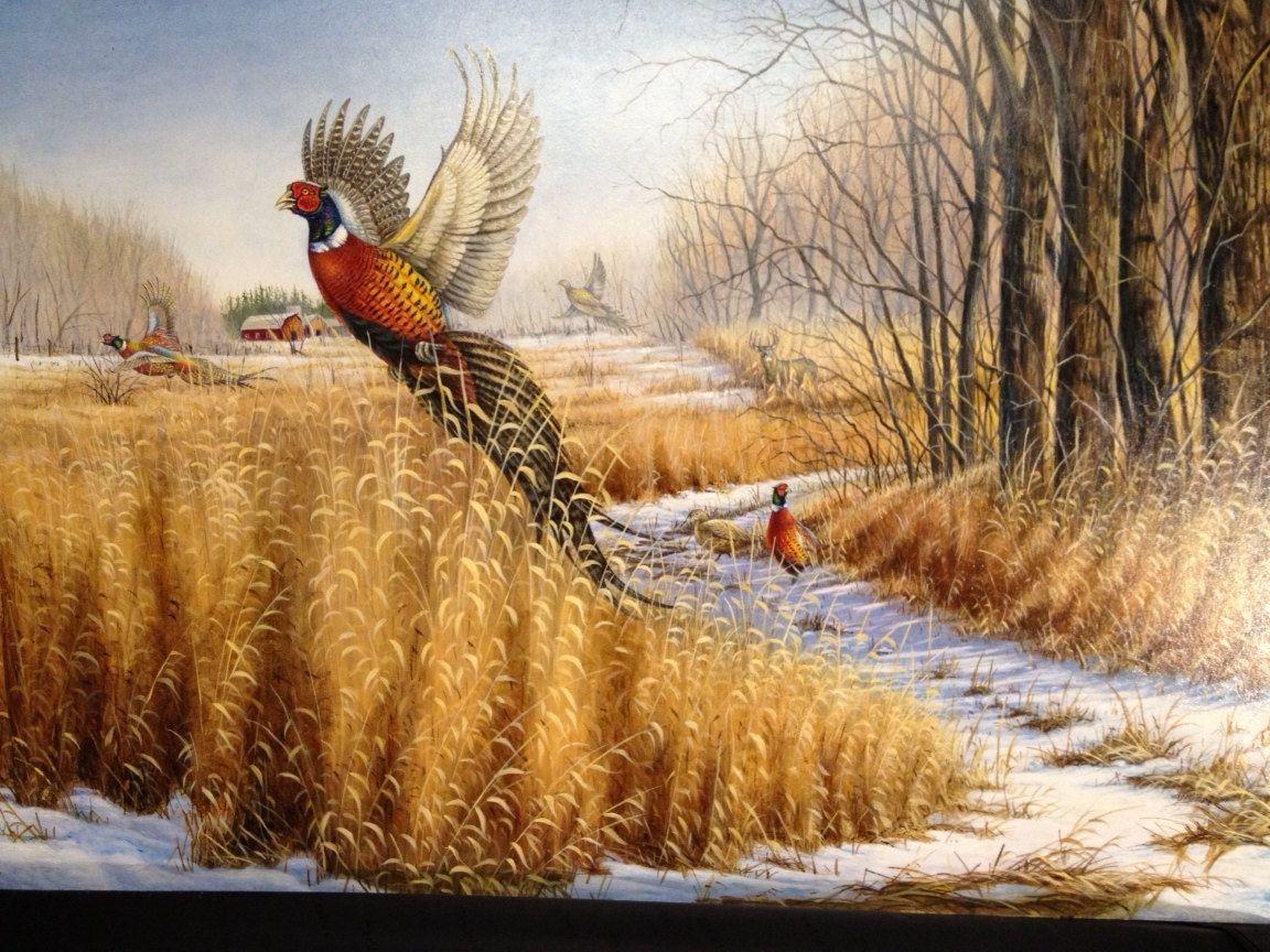1152x864 Upland Bird Hunting Wallpaper. Beautiful
