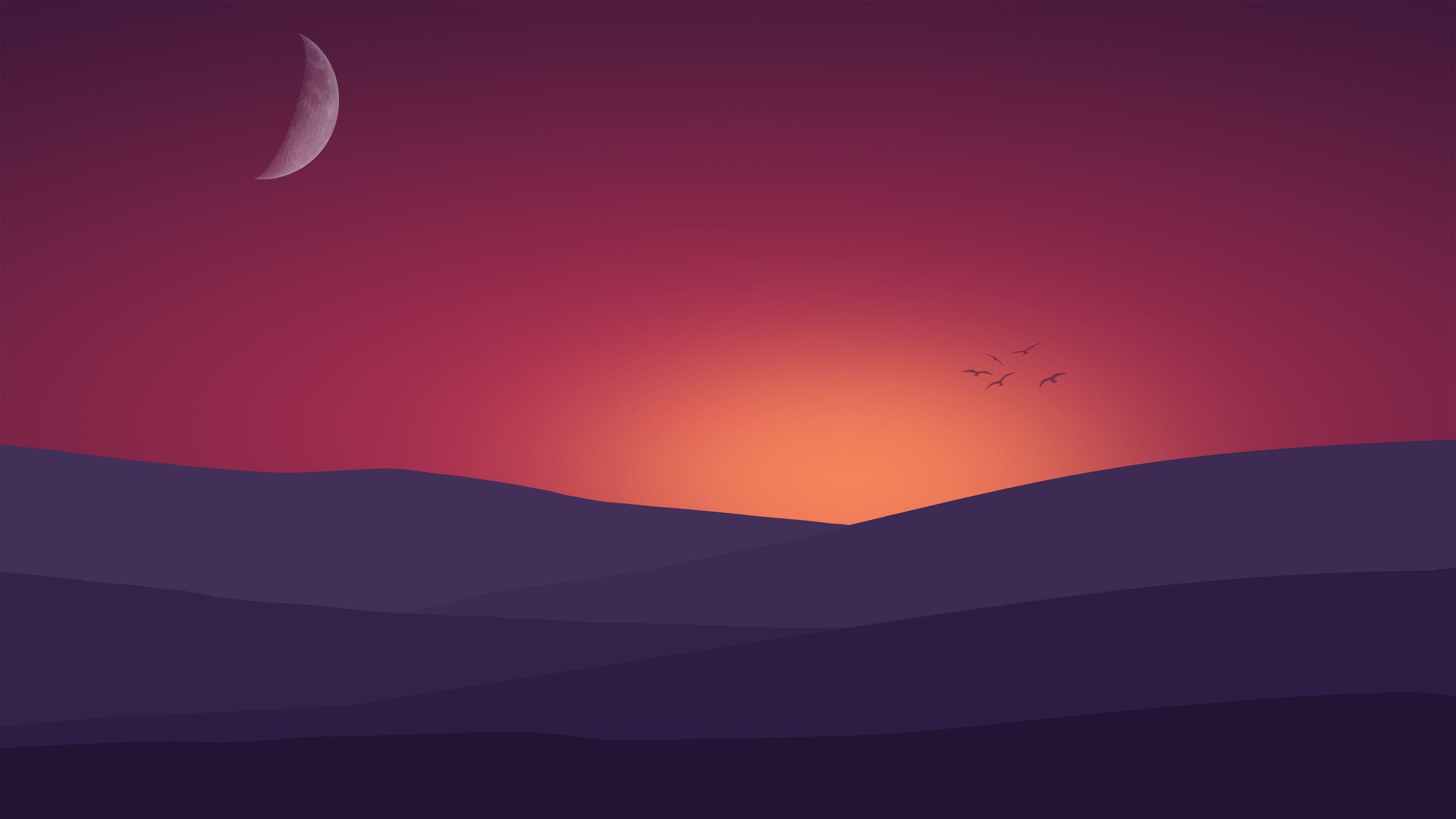 3840x2160 Birds Flying Towards Sunset Landscape .