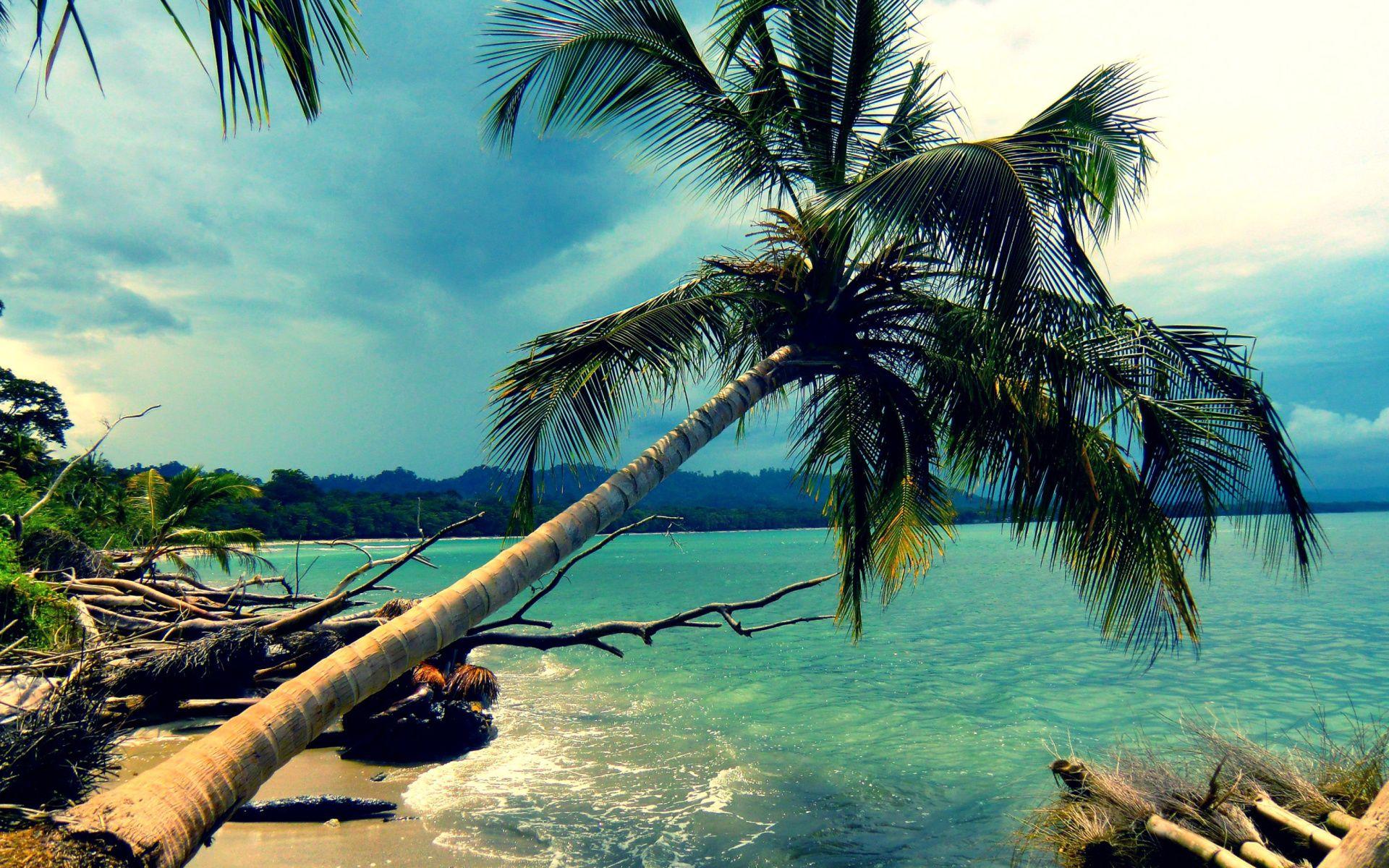 1920x1200 HD Cool Mexican Desktop Wallpaper
