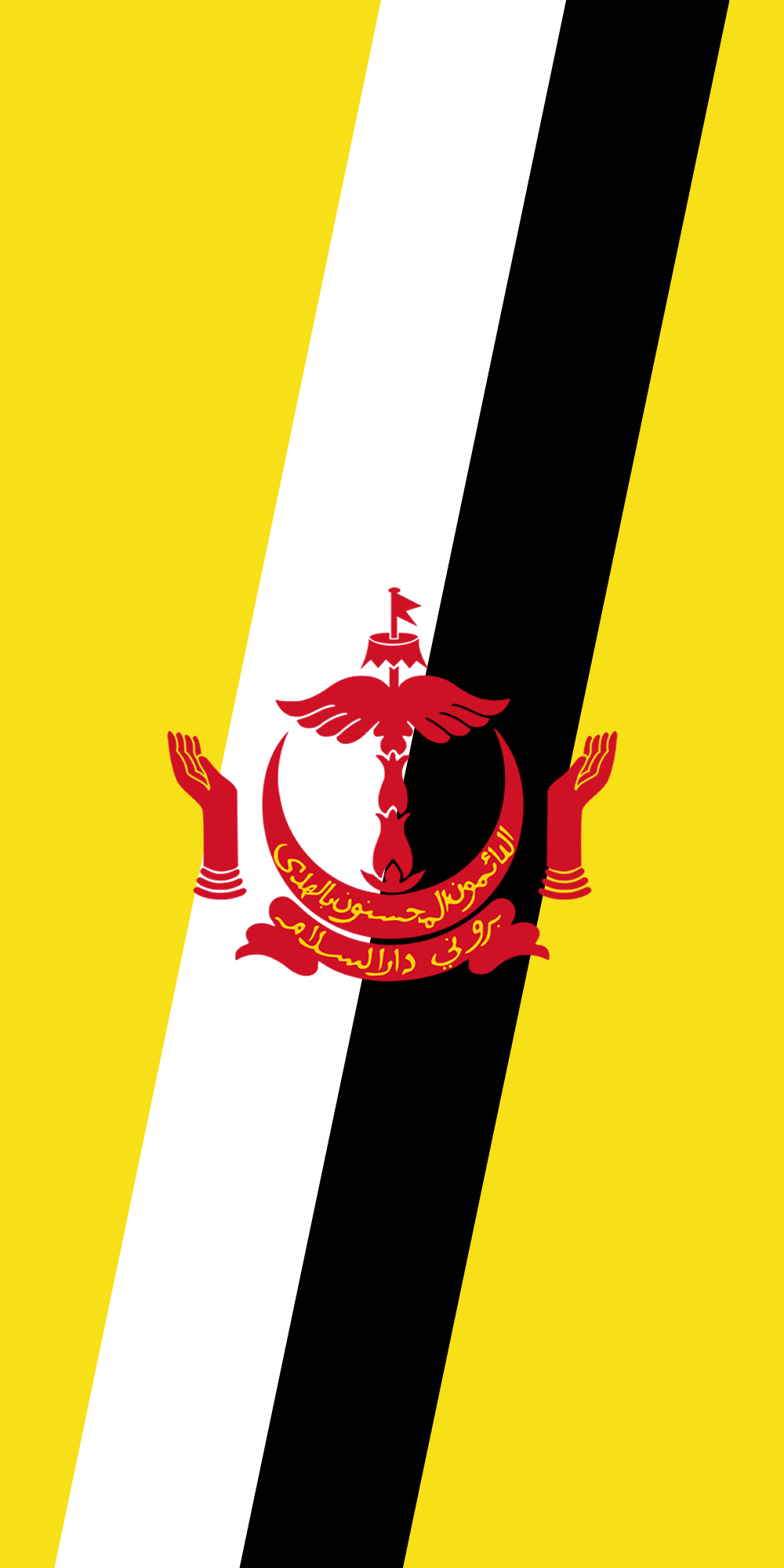 1000x2000 Flag of Brunei (vertical).png