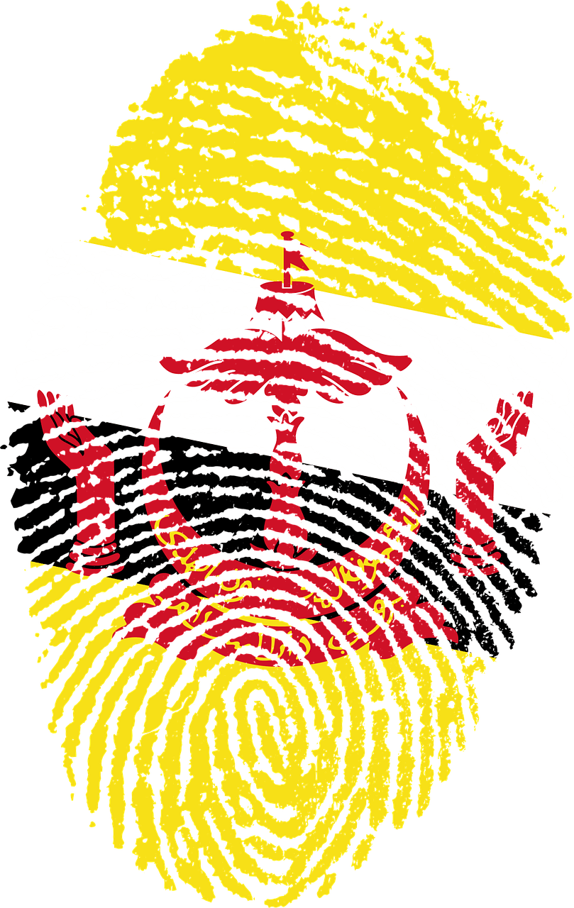 809x1280 Download Brunei Flag Fingerprint. Royalty Free Stock Illustration Image