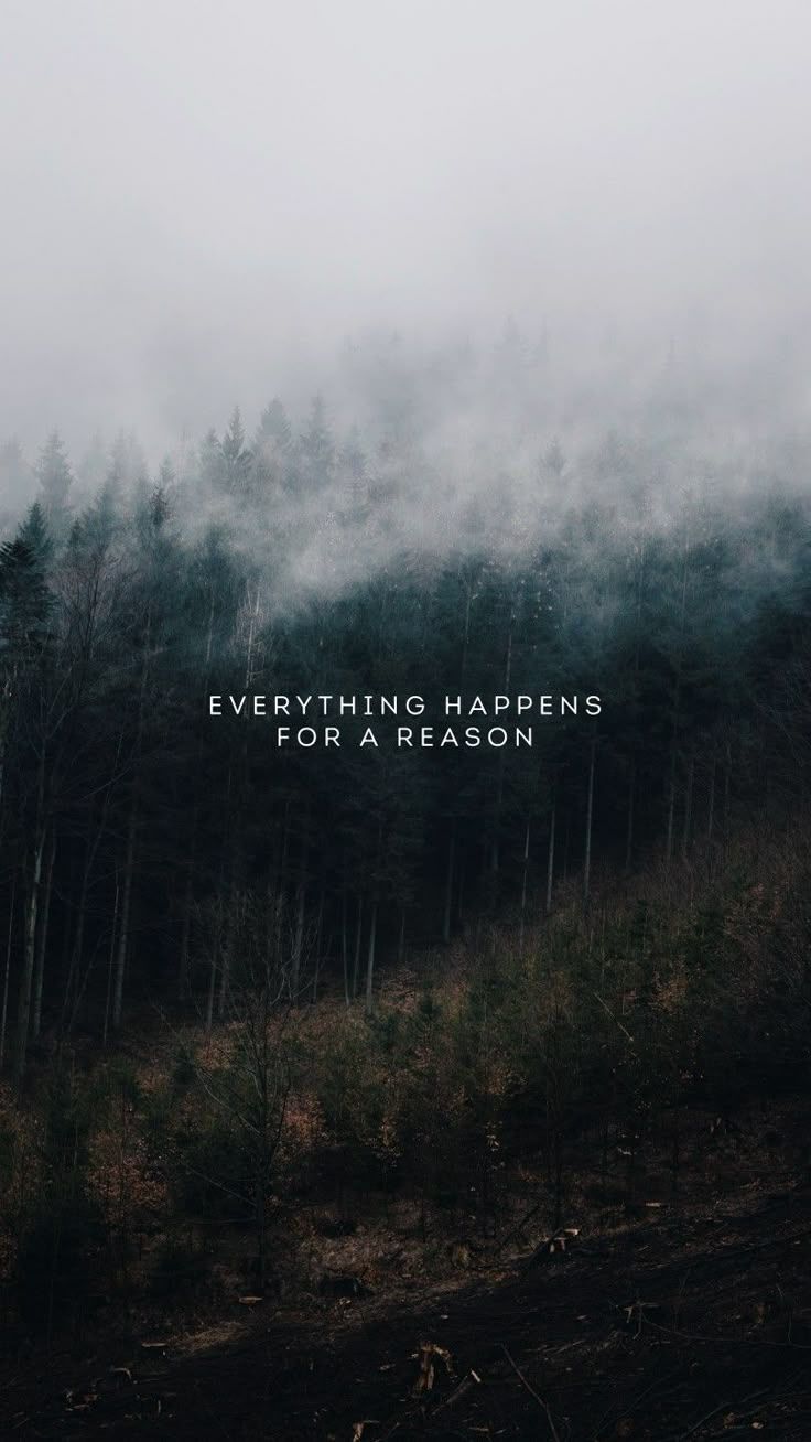 736x1308 Motivational Quotes Wallpaper. Quote on mountain background, Motivational scenery wallpaper, Phone wallpaper motivation dark