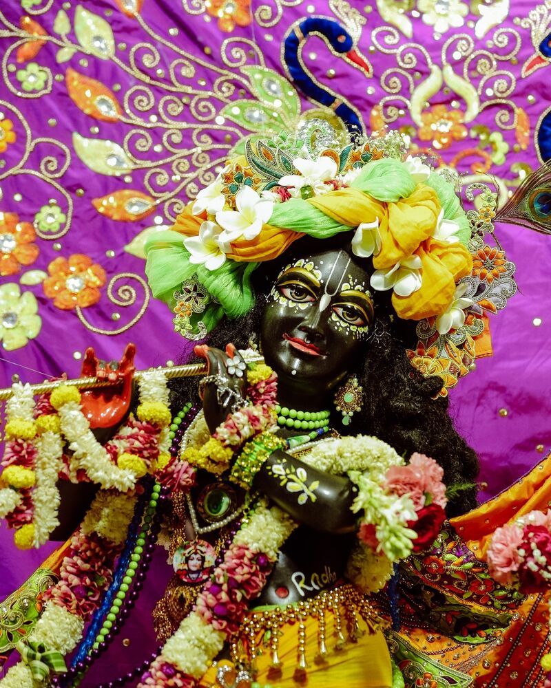 800x1000 krishna #iskcon #motivation #success #love #innovation #education #future #india #creativity #inspiration #life #quotes #chandigarh #devotion. ISKCON Temple Chandigarh comments