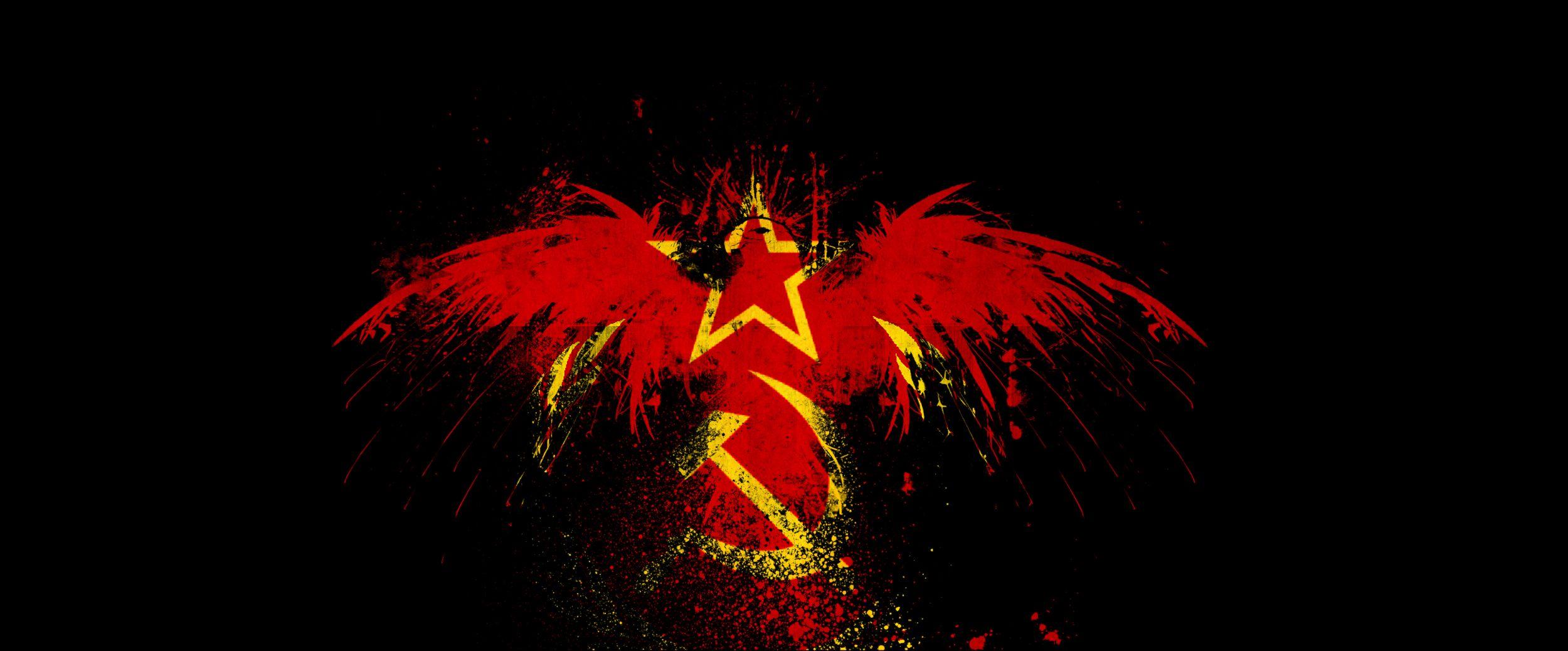 2500x1038 Eagle Flag Wallpaper 2500x1038