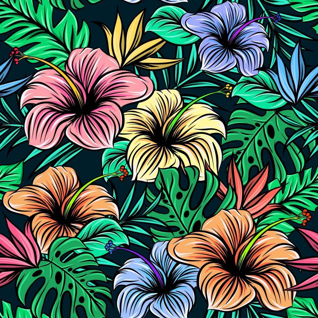 1080x1080 Hibiscus, iPhone, Desktop HD Background
