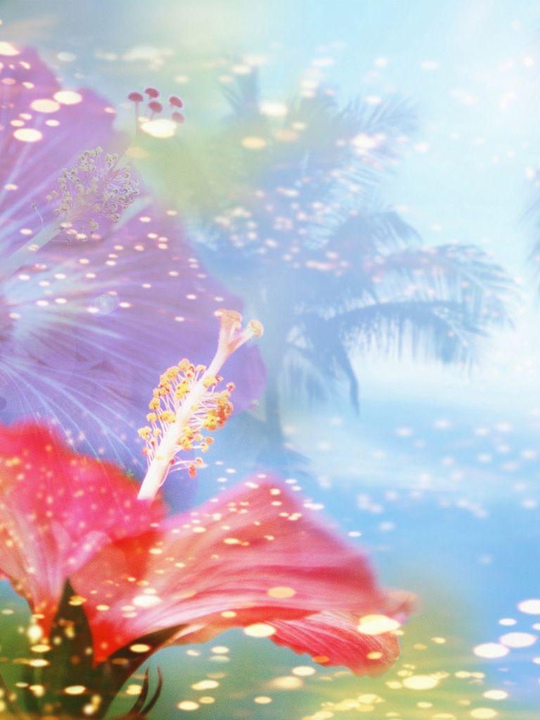 768x1024 Free download Hibiscus iPad Background Best iPad Wallpaper