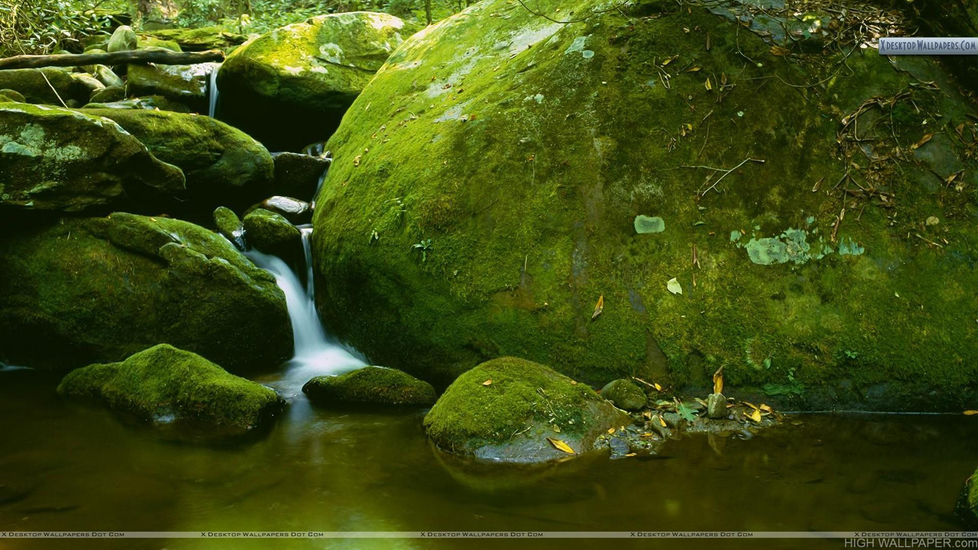 1920x1080 Download Tennessee Mountains Wallpaper, HD Background Download