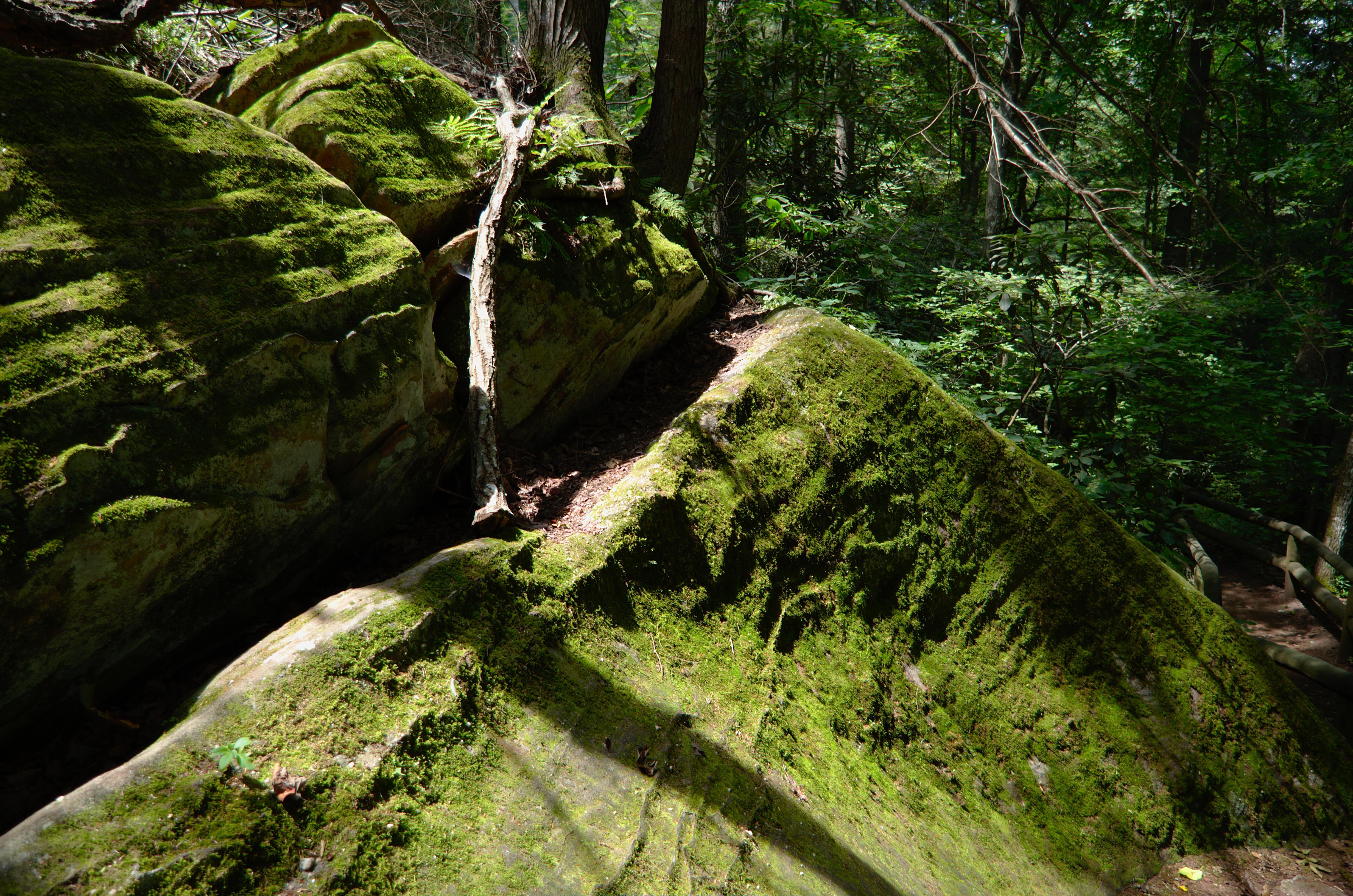 4928x3264 Mossy Boulder