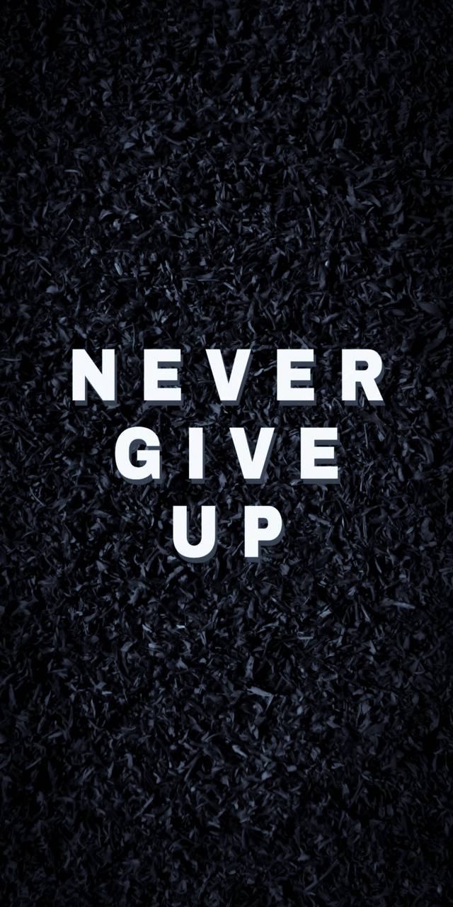 Never Give Up Quotes Wallpapers - Top Free Never Give Up Quotes Backgrounds  - WallpaperAccess