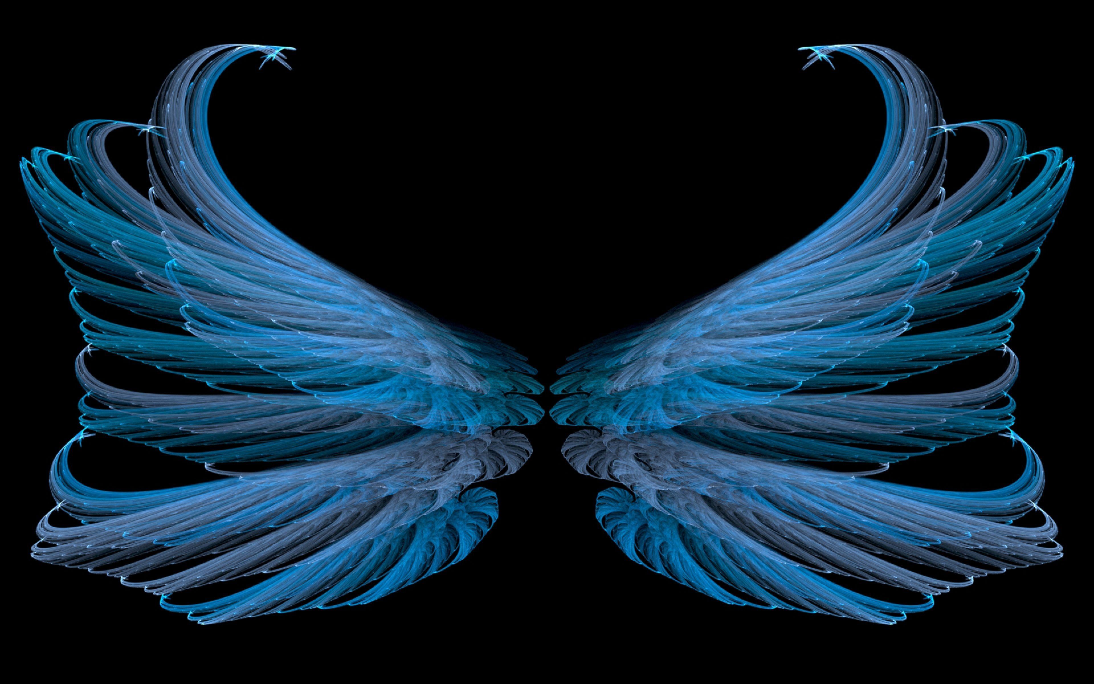 3840x2400 Wallpaper blue, black, wings, white, bright. Blue wings