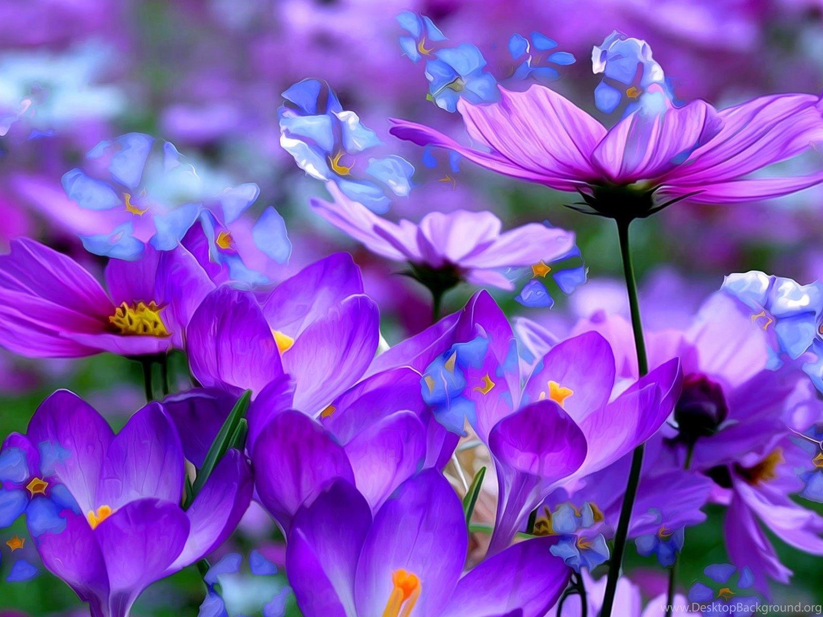 Purple Flowers HD Wallpapers - Top Free Purple Flowers HD Backgrounds ...