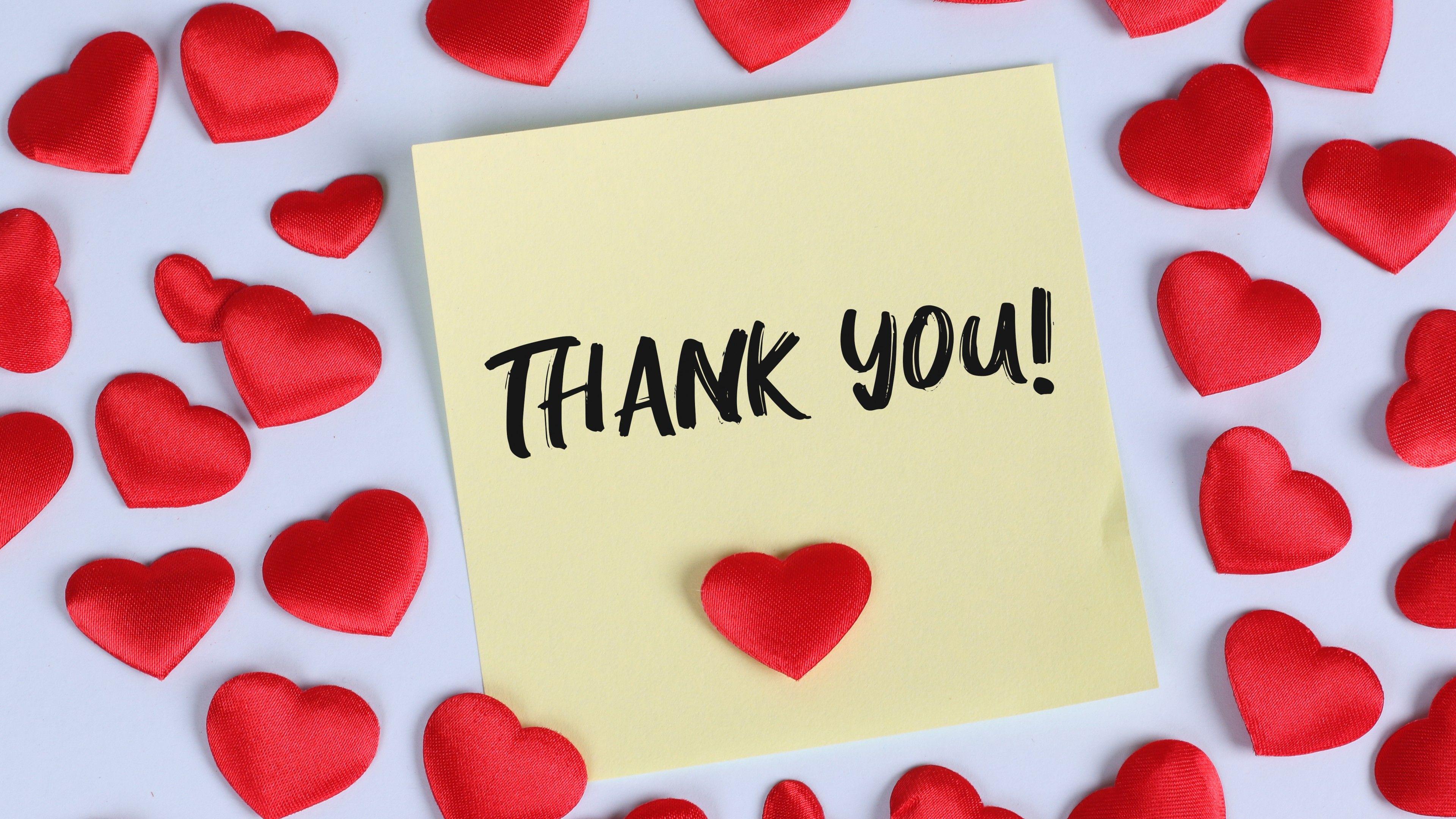 3840x2160 4K Wallpaper Love hearts, Red hearts, Thank You, White background