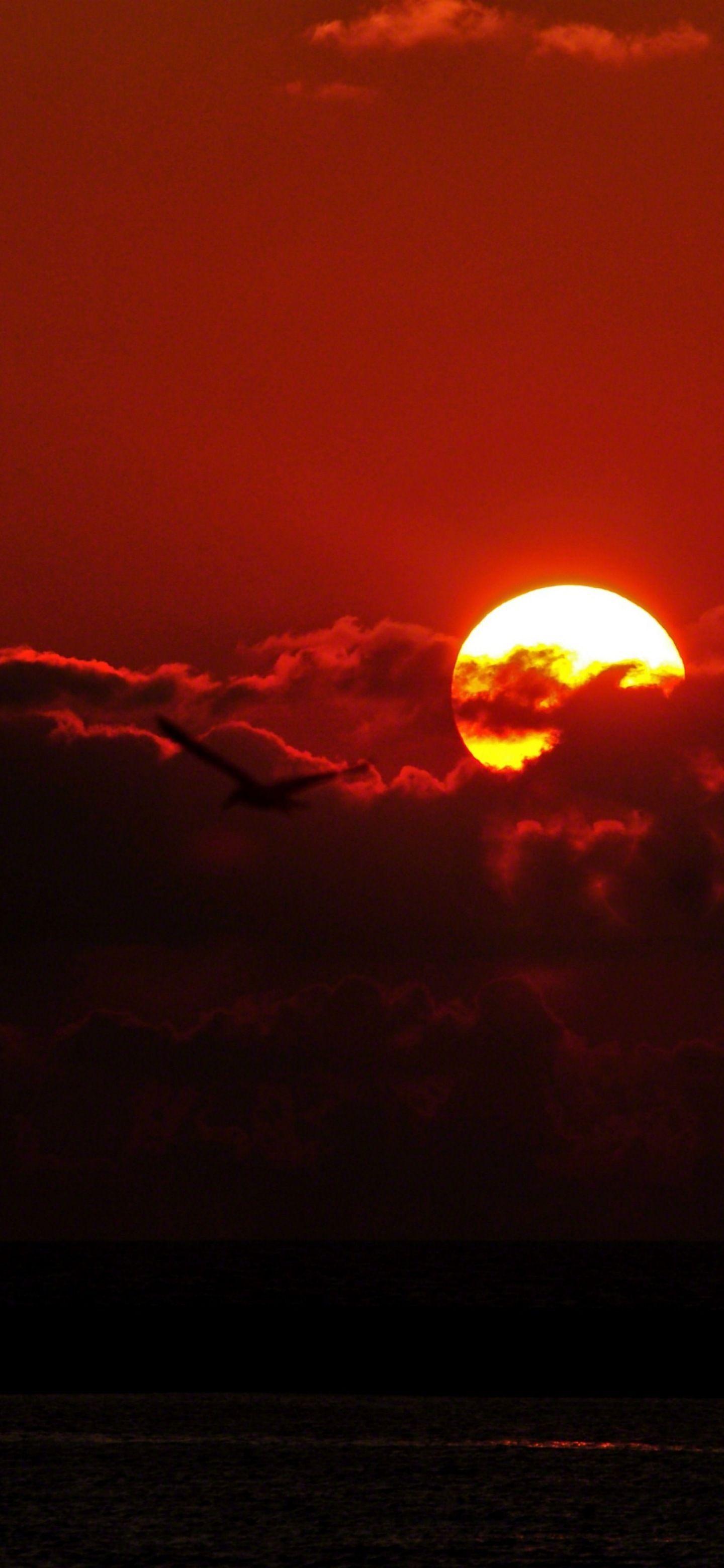 1440x3120 Wallpaper sunset. Screen wallpaper. 1440x3120 Background