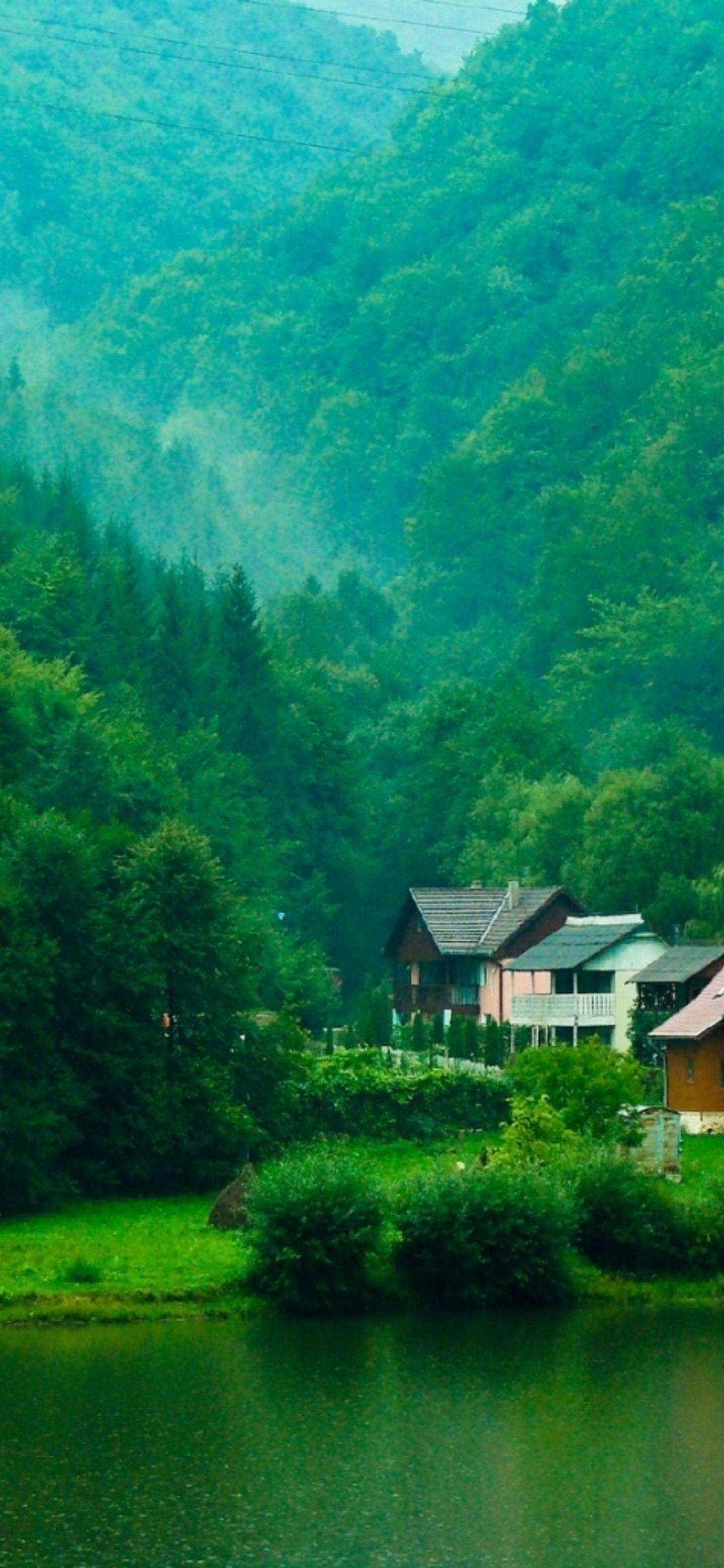 1440x3120 Wallpaper