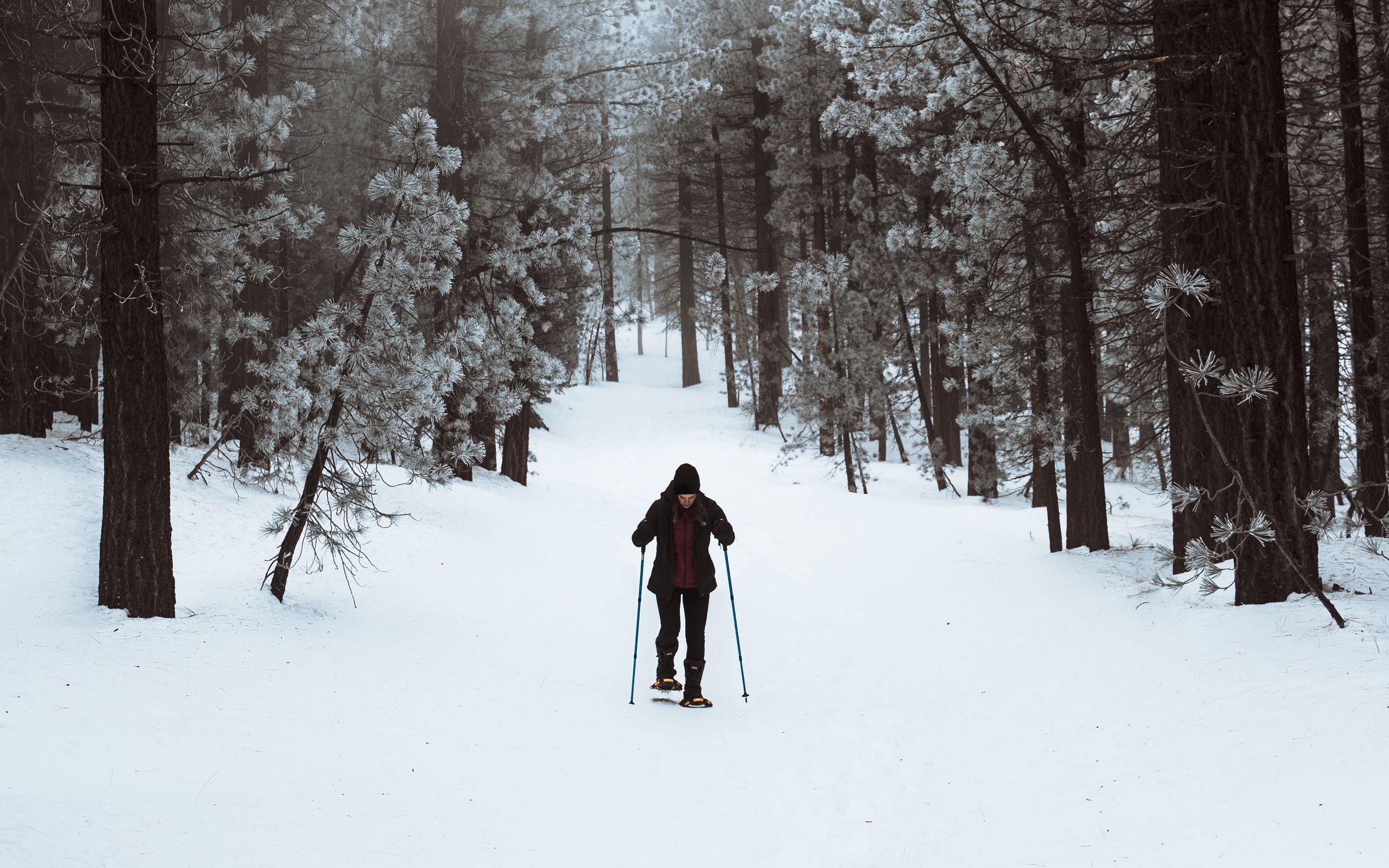 2560x1600 Download wallpaper 2560x1600 skier, forest, snow, winter, walk