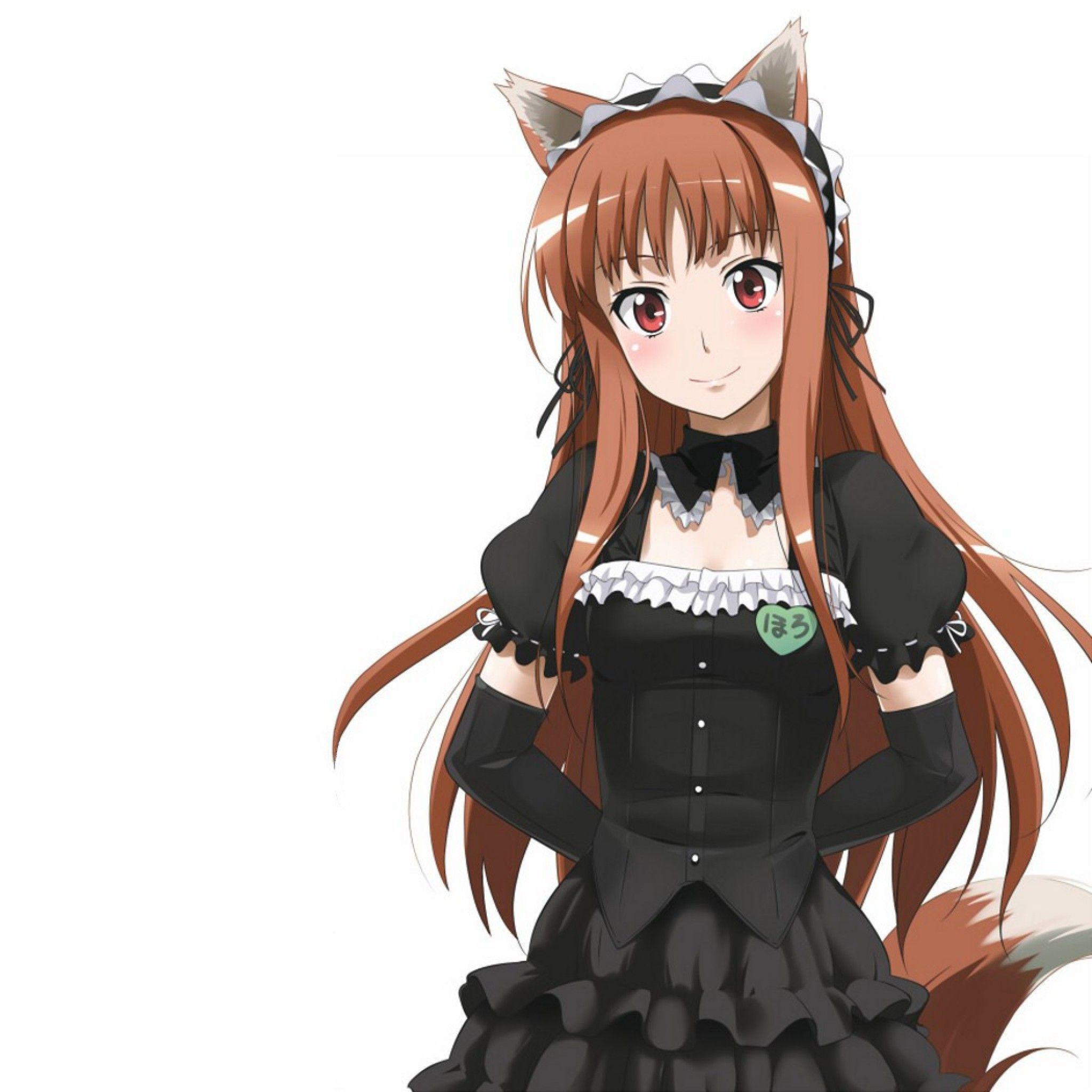 Cute Anime Wolf Girl Wallpapers - Top Free Cute Anime Wolf Girl