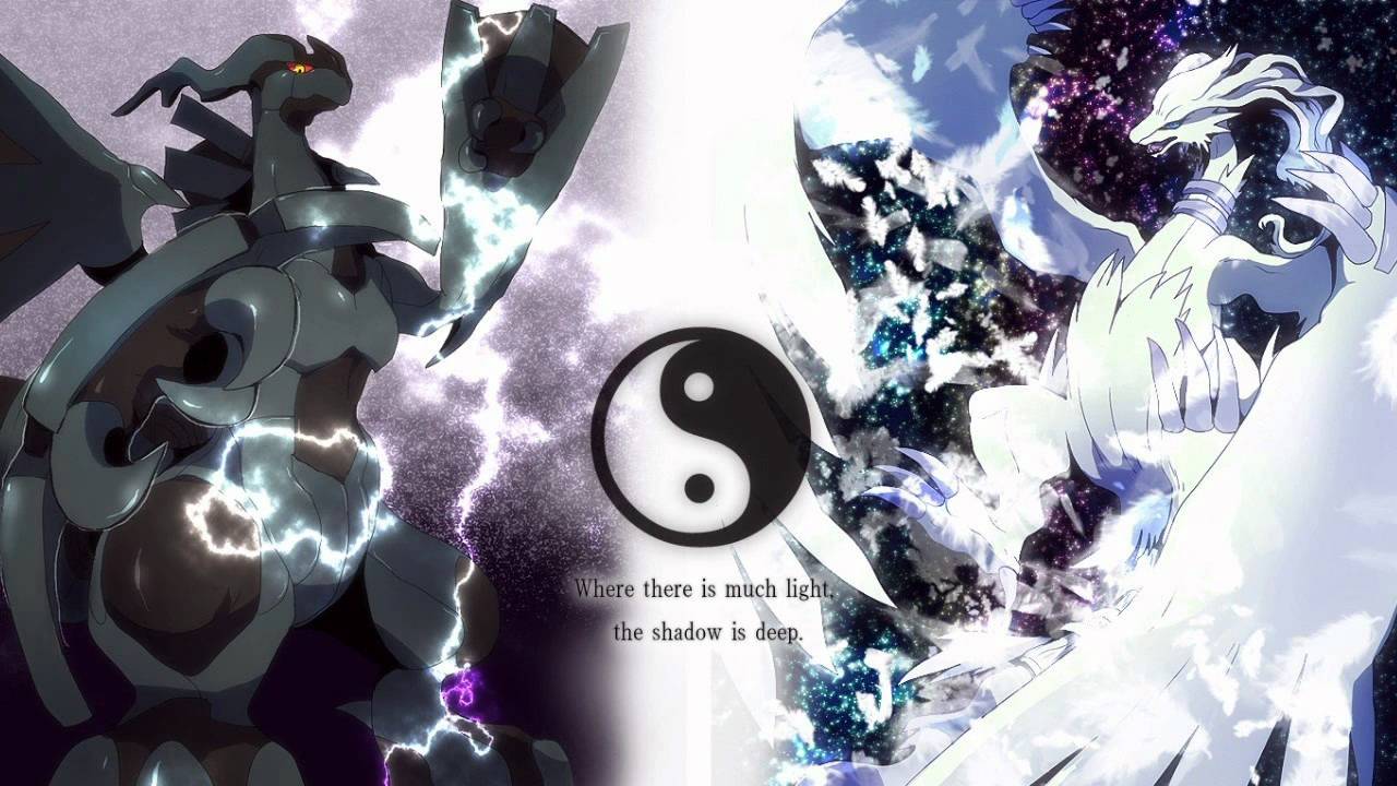 1280x720 Did You Know And Zekrom Pokemon